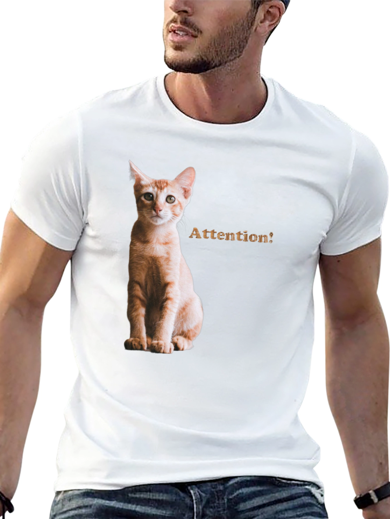 Cat Attention Black T-Shirt