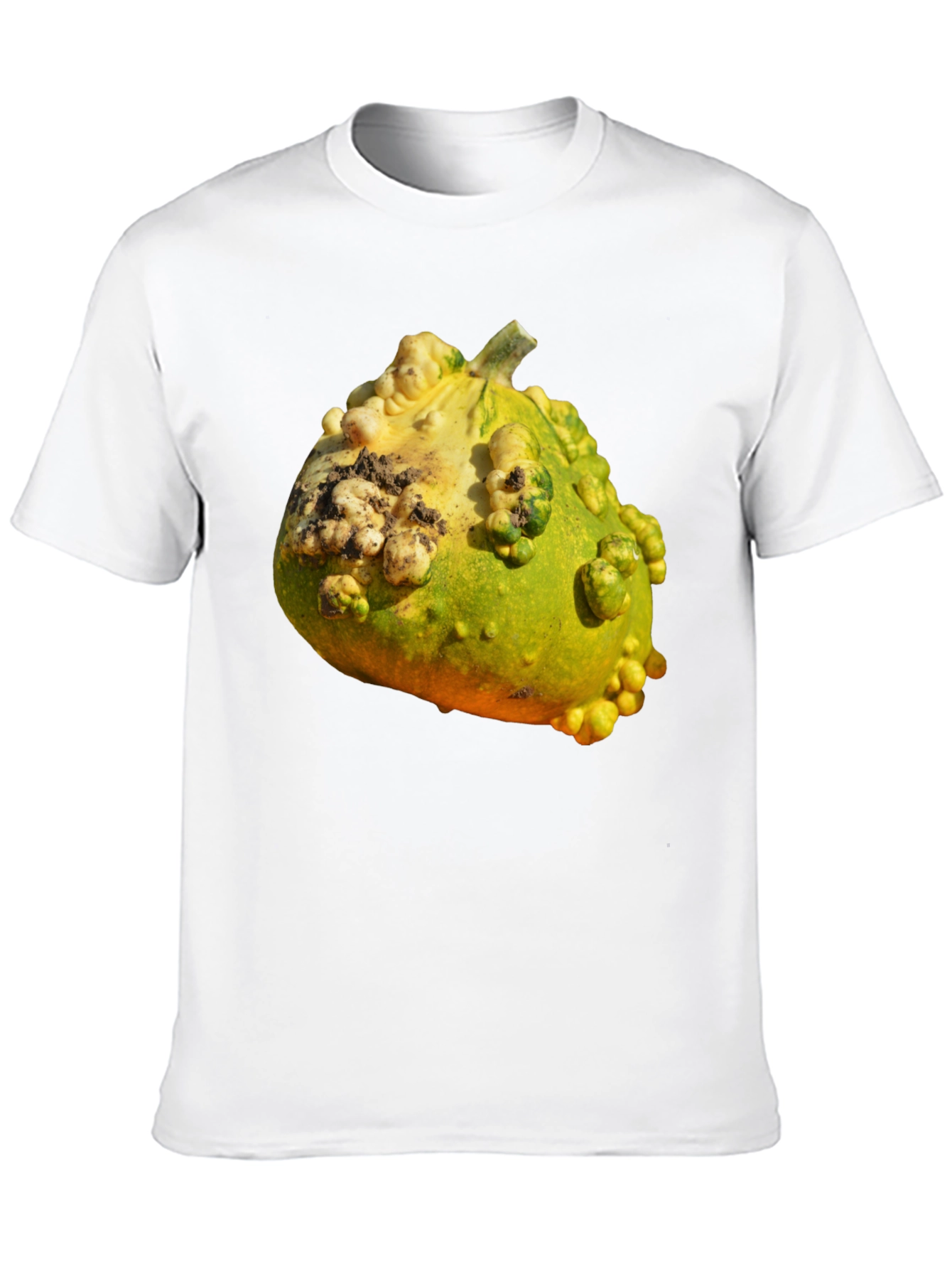 Gourd Graphic T-Shirt Novelty Fruit Tee
