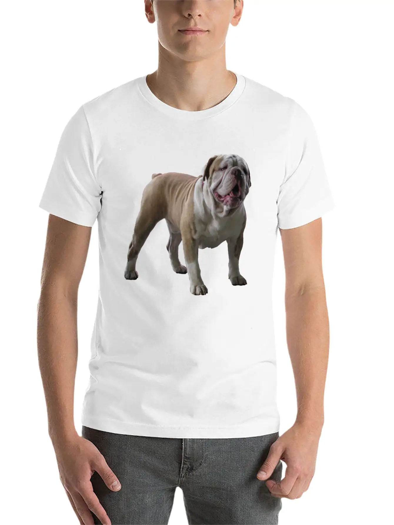 Bull Dog Stylish Everyday T-Shirt – Unisex Basic Cotton Tee