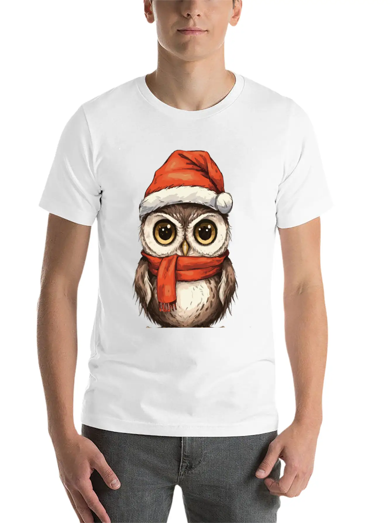 Christmas Holiday Big Eyed Owl Comfortable Minimalist Graphic Tee – Summer Style Essential