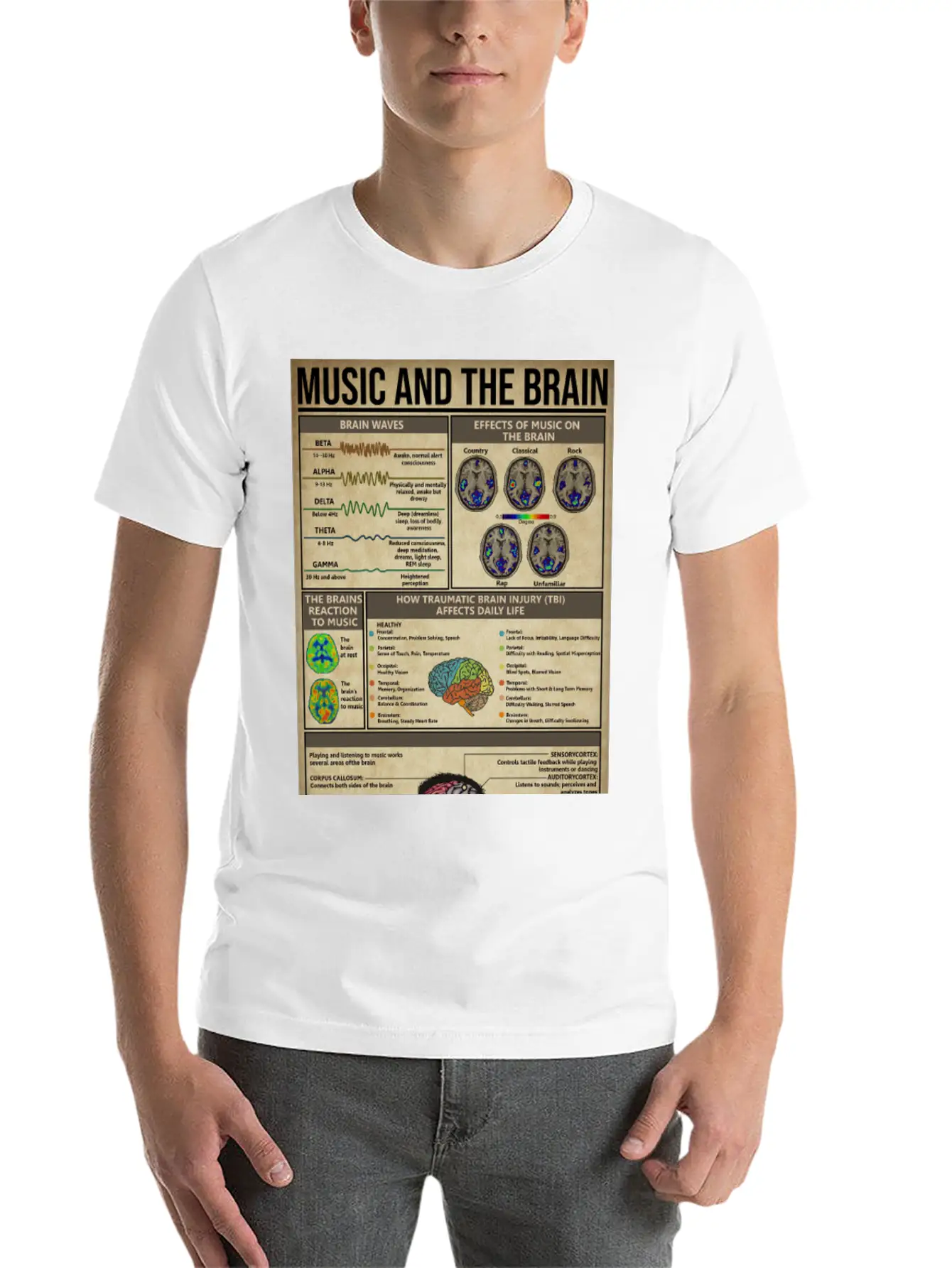 Music And Brain Music Knowledge Poster Basic Graphic T-Shirt – Daily Comfort In Soft Cotton