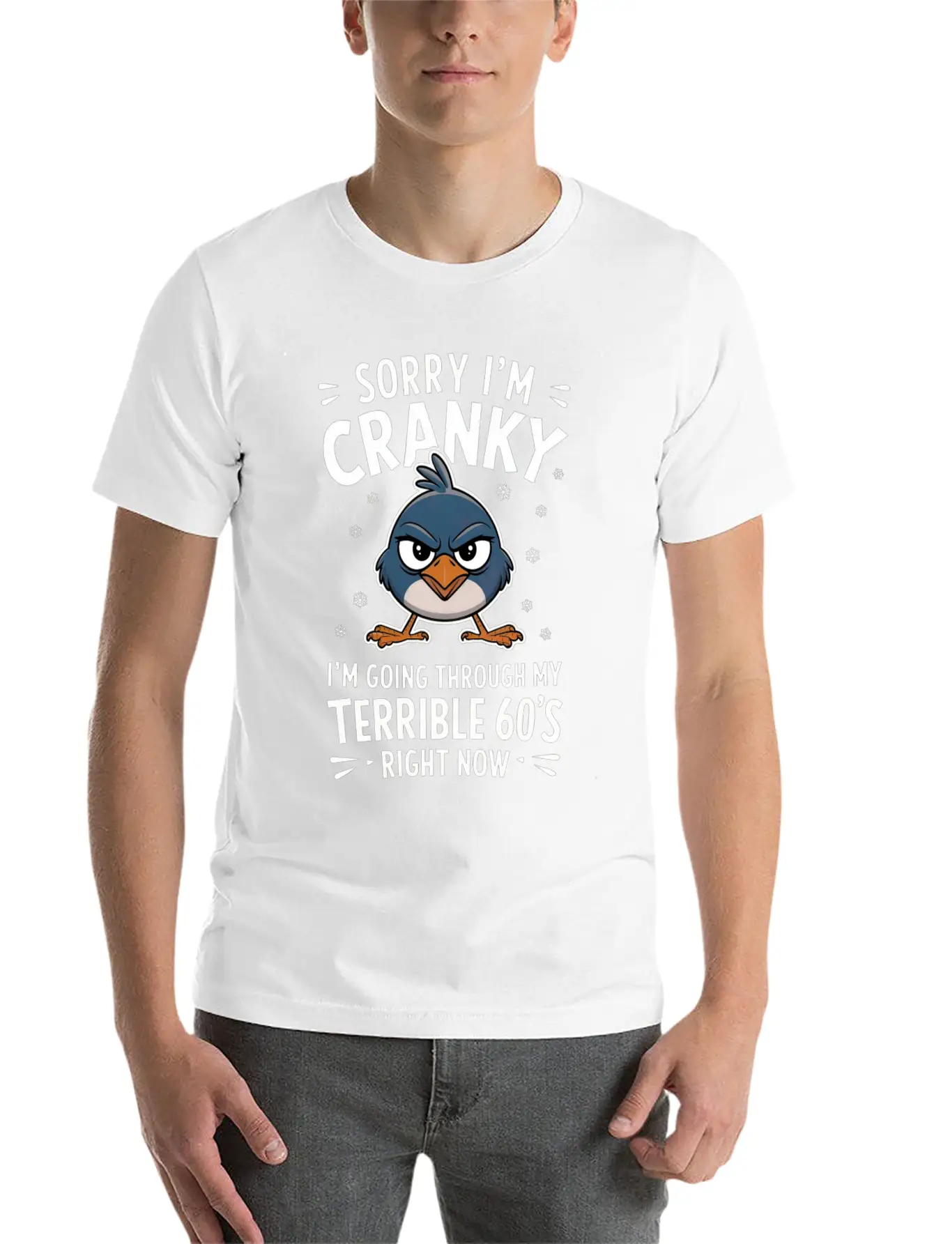 Sorry I'm Cranky I'm Going Through My Terrible 60 Stylish Everyday T-Shirt – Unisex Basic Cotton Tee
