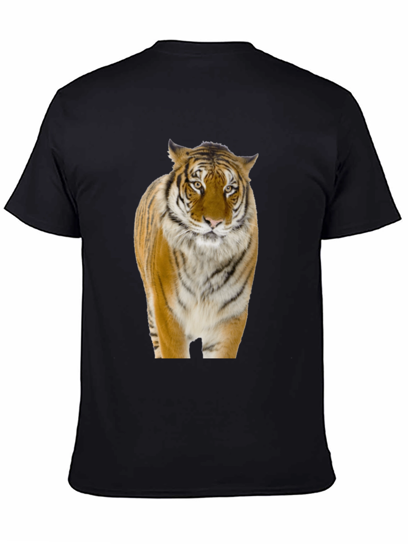 Tiger Graphic Black T-Shirt - Bold Animal Print Tee