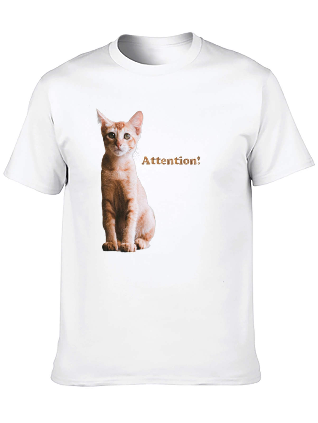 Cat Attention Black T-Shirt