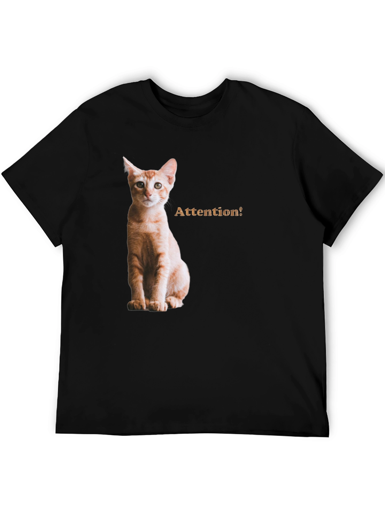 Cat Attention Black T-Shirt