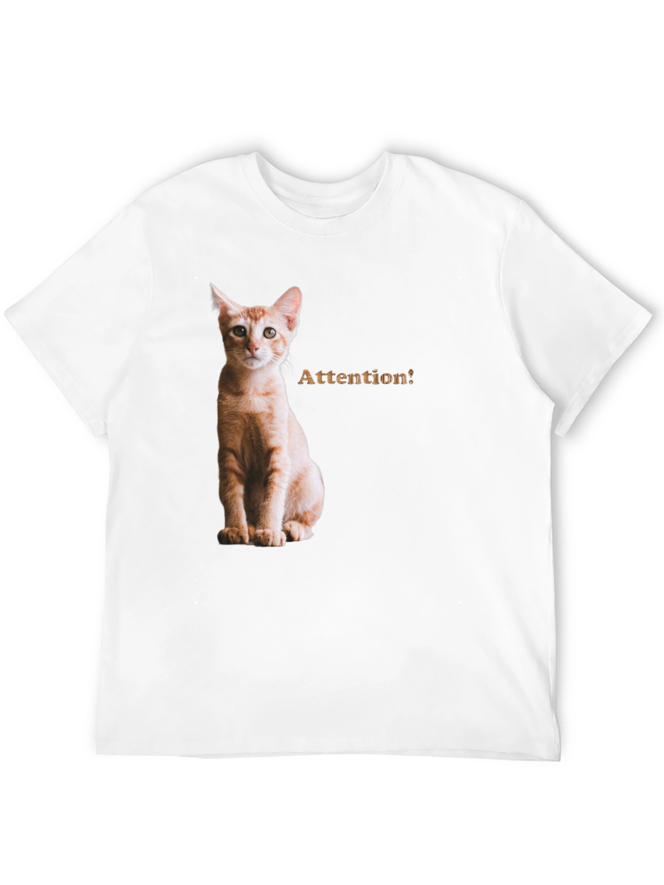 Cat Attention Black T-Shirt