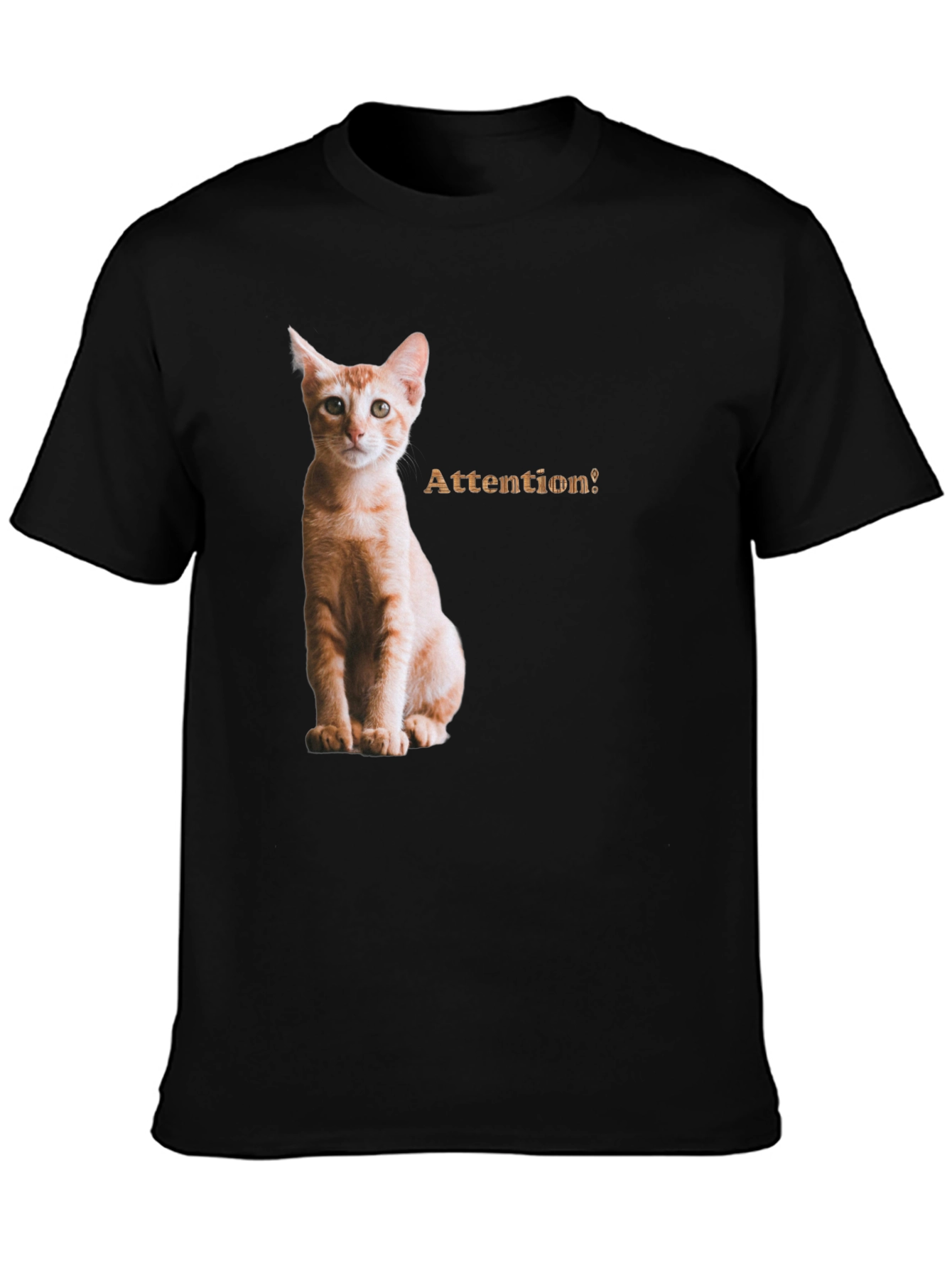 Cat Attention Black T-Shirt