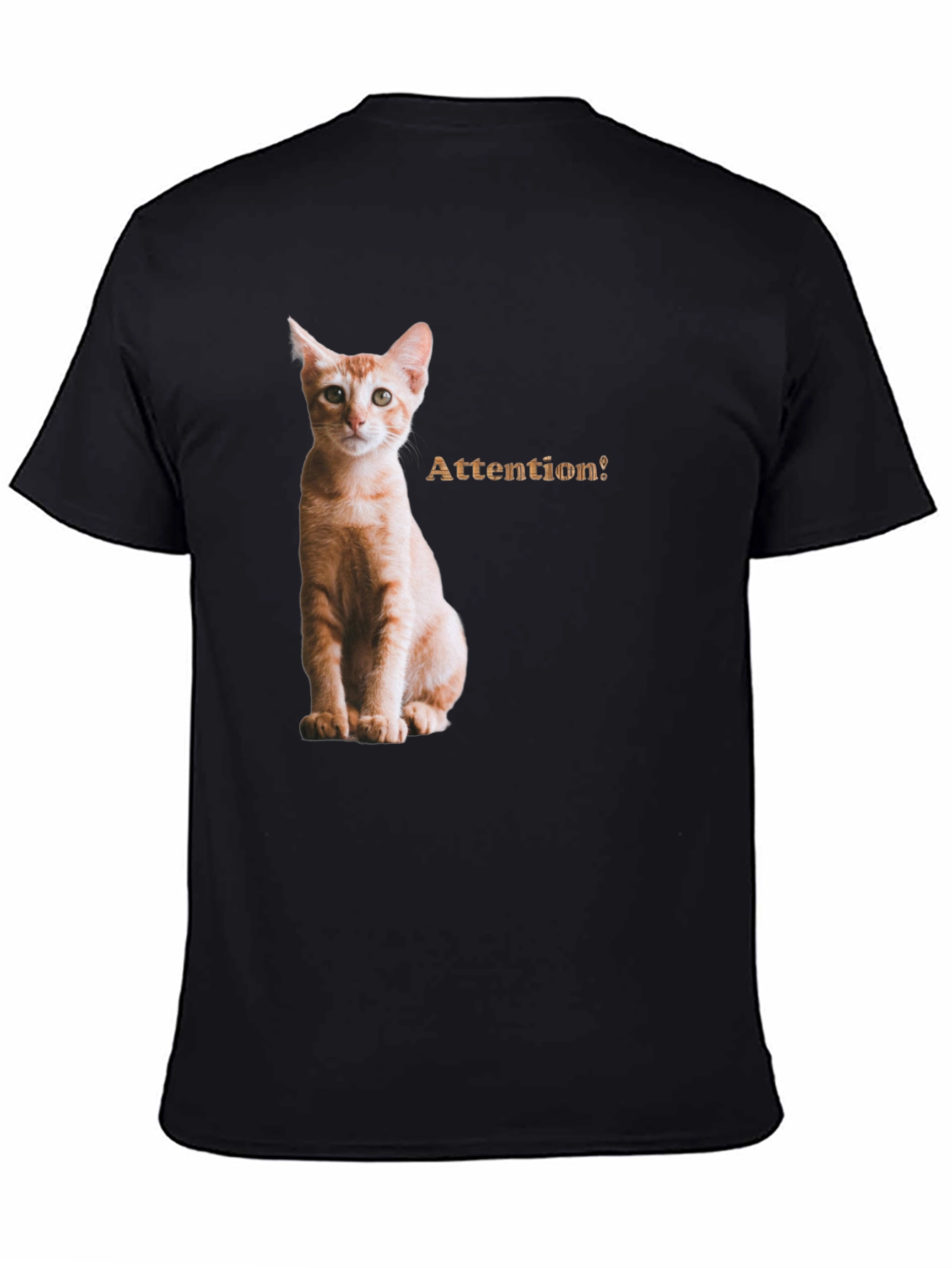 Cat Attention Black T-Shirt