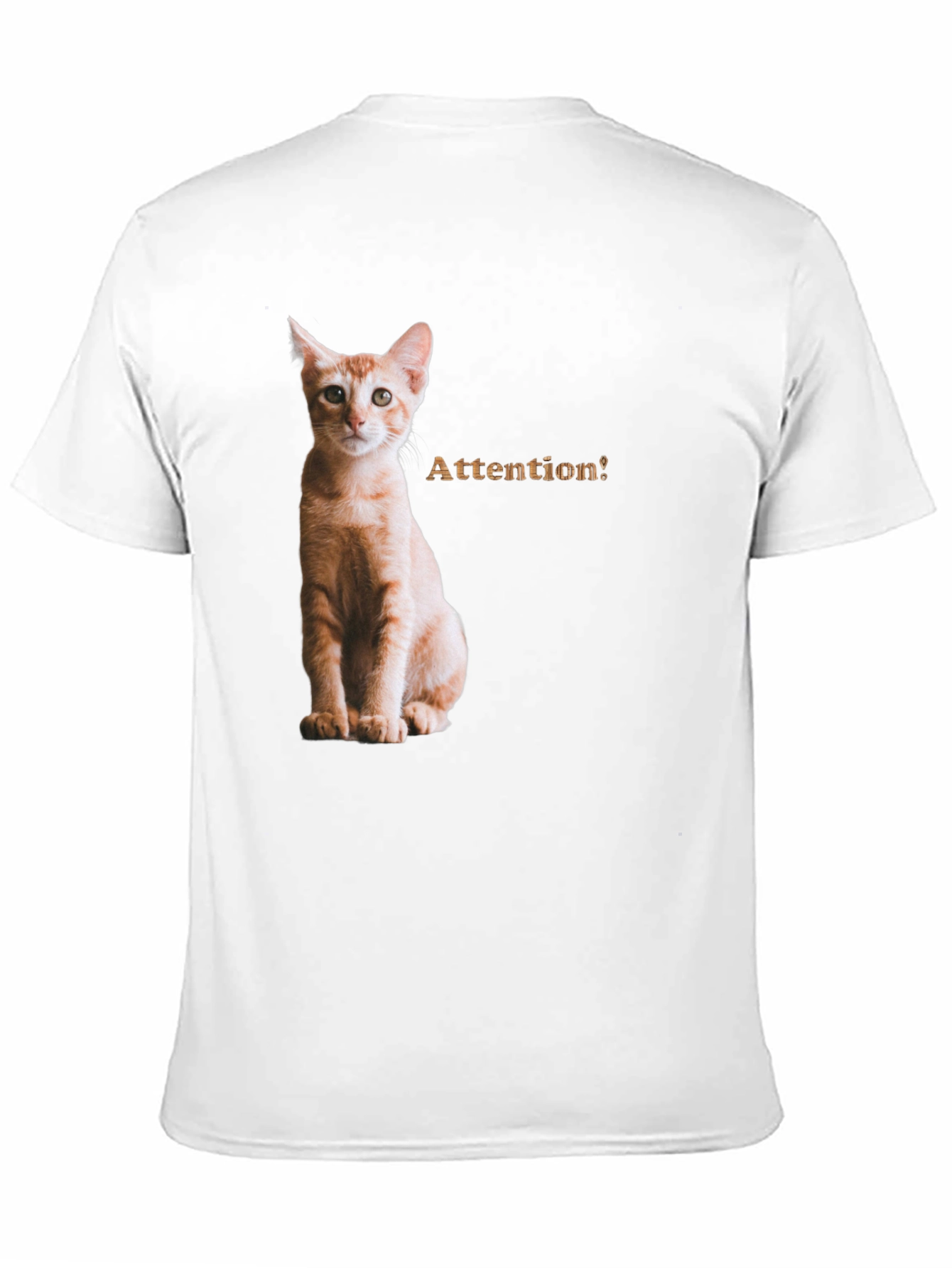 Cat Attention Black T-Shirt