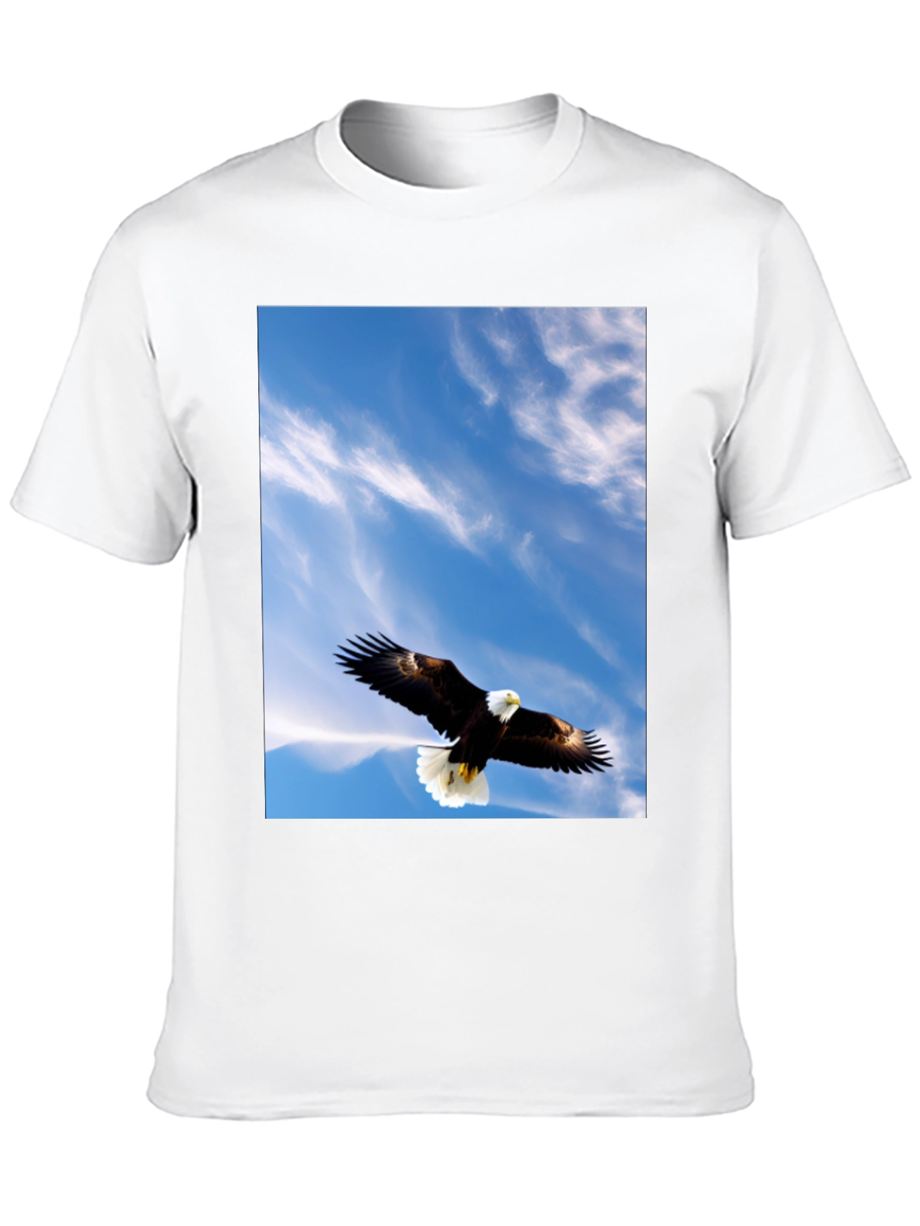 Eagle Sky Graphic Tee - Mens Black T-Shirt