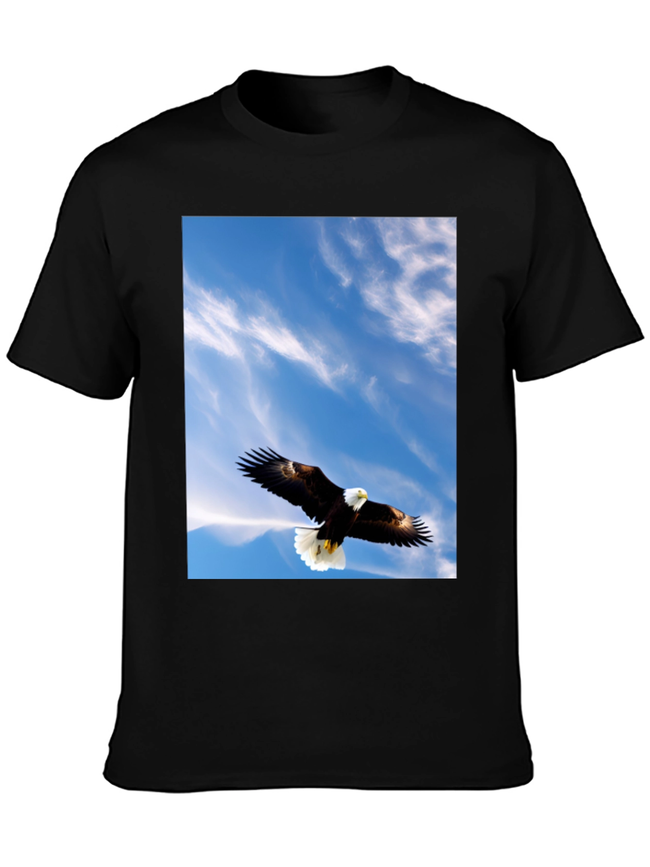 Eagle Sky Graphic Tee - Mens Black T-Shirt
