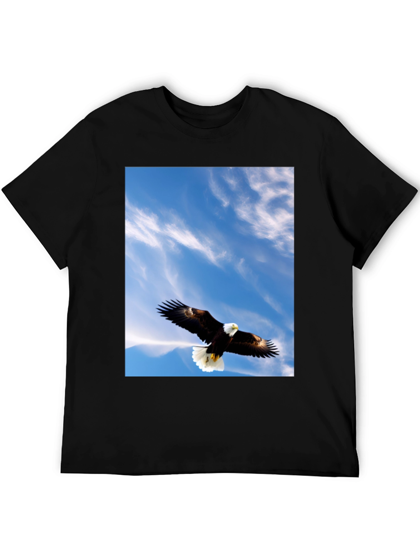 Eagle Sky Graphic Tee - Mens Black T-Shirt