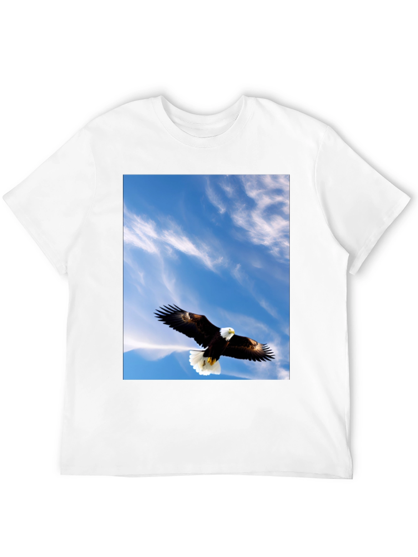 Eagle Sky Graphic Tee - Mens Black T-Shirt