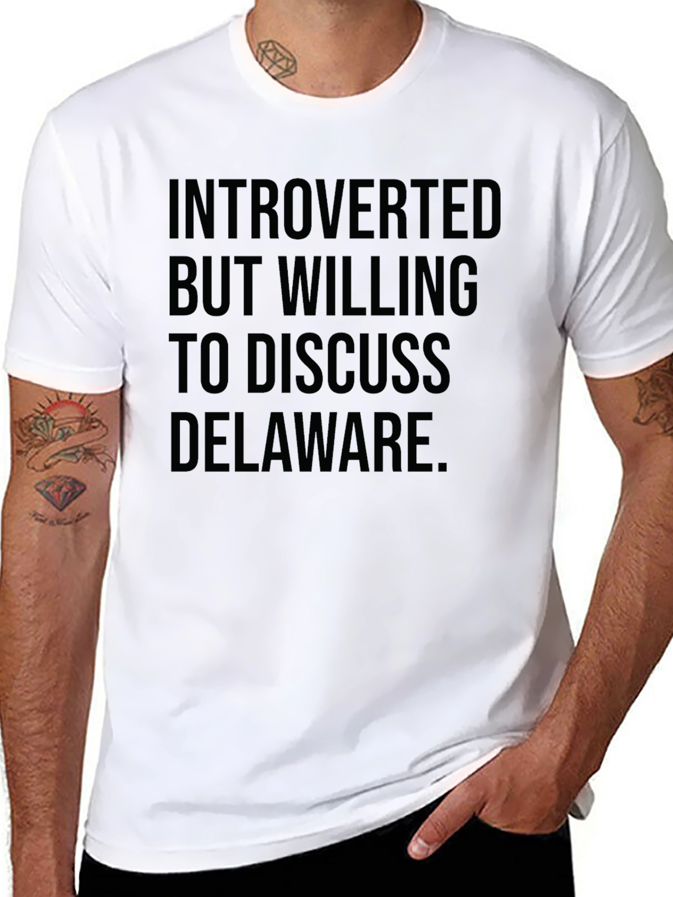 Introverted Delaware T-Shirt - Sarcastic Tee