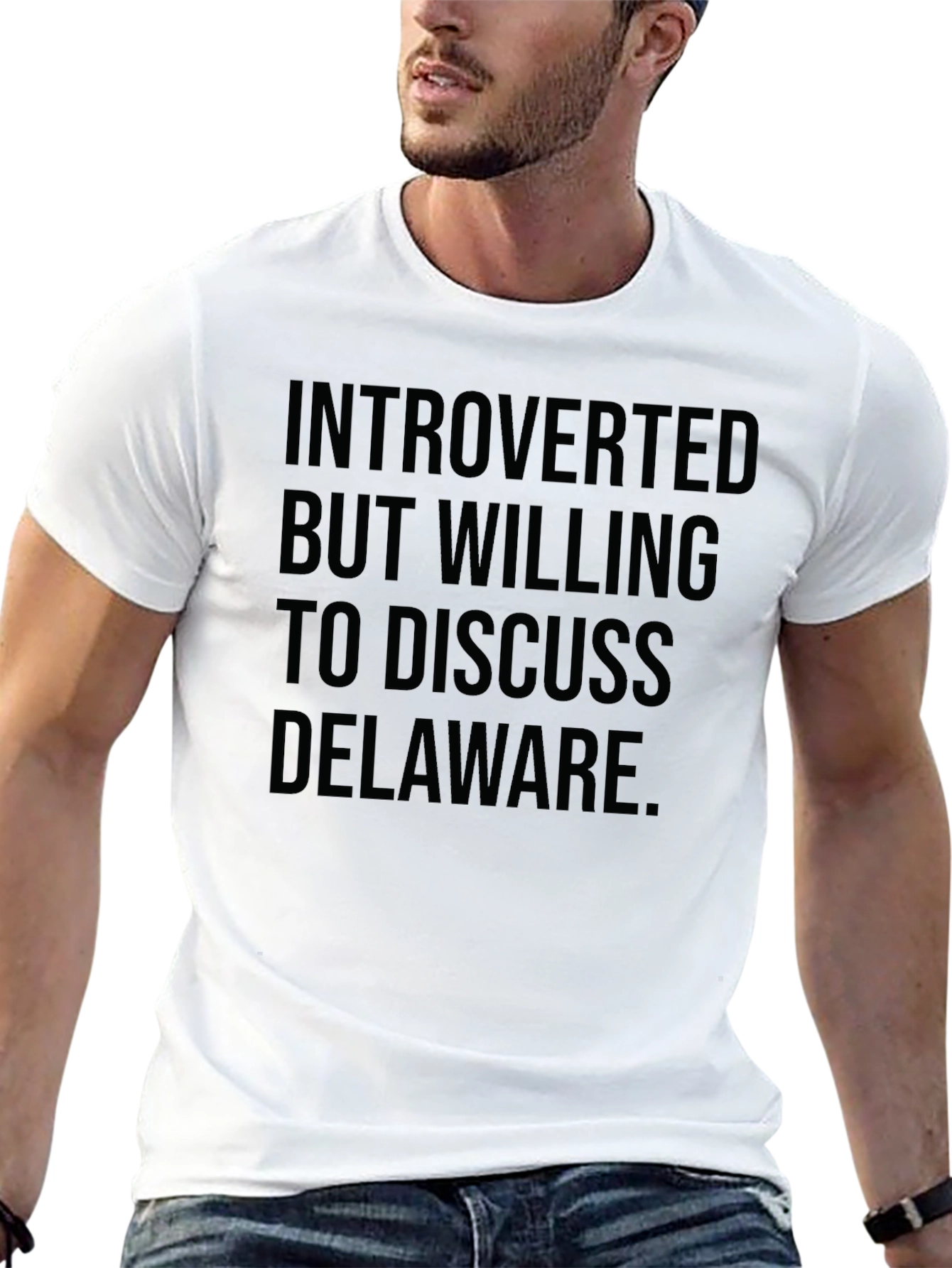 Introverted Delaware T-Shirt - Sarcastic Tee