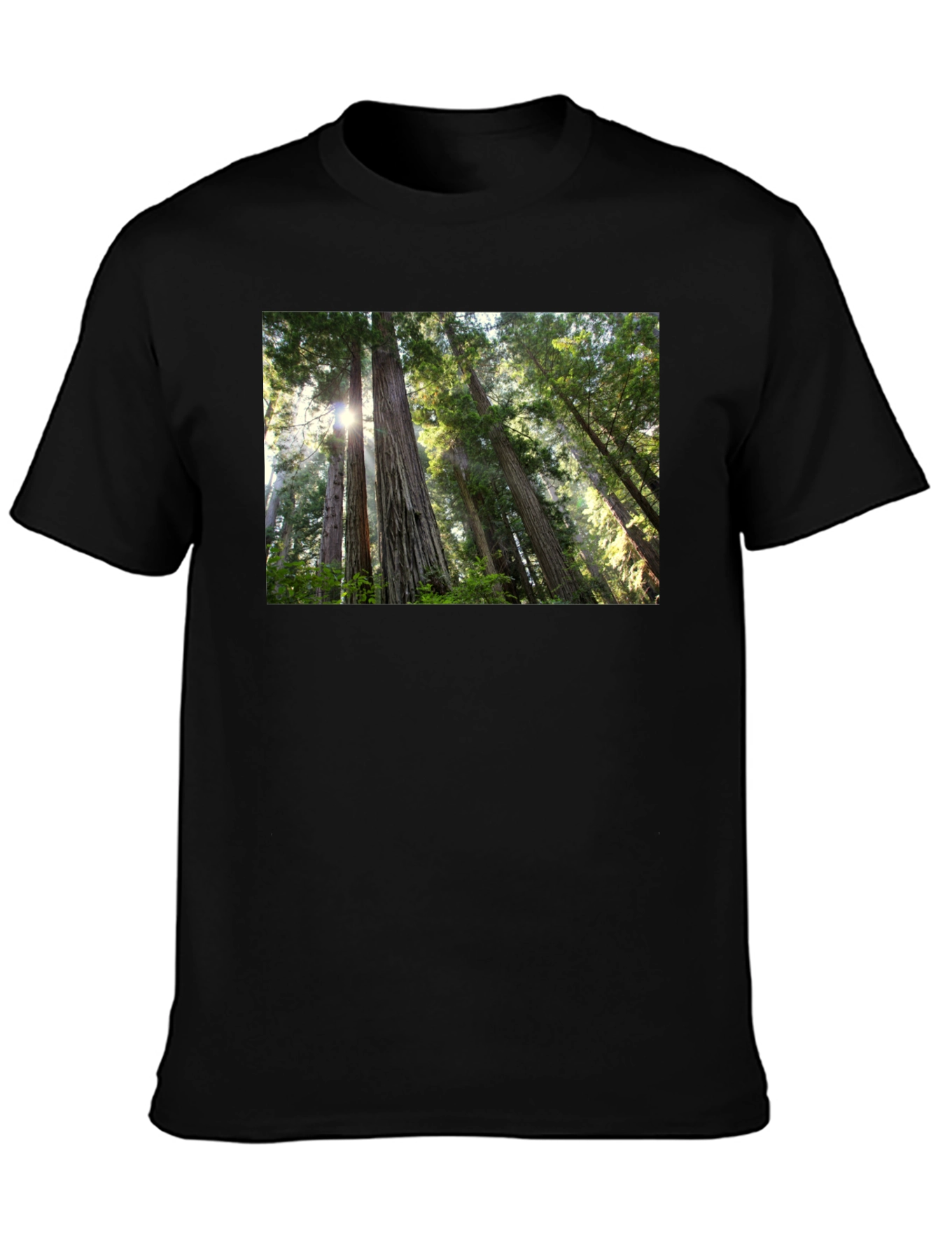 Forest Scene Black T-Shirt