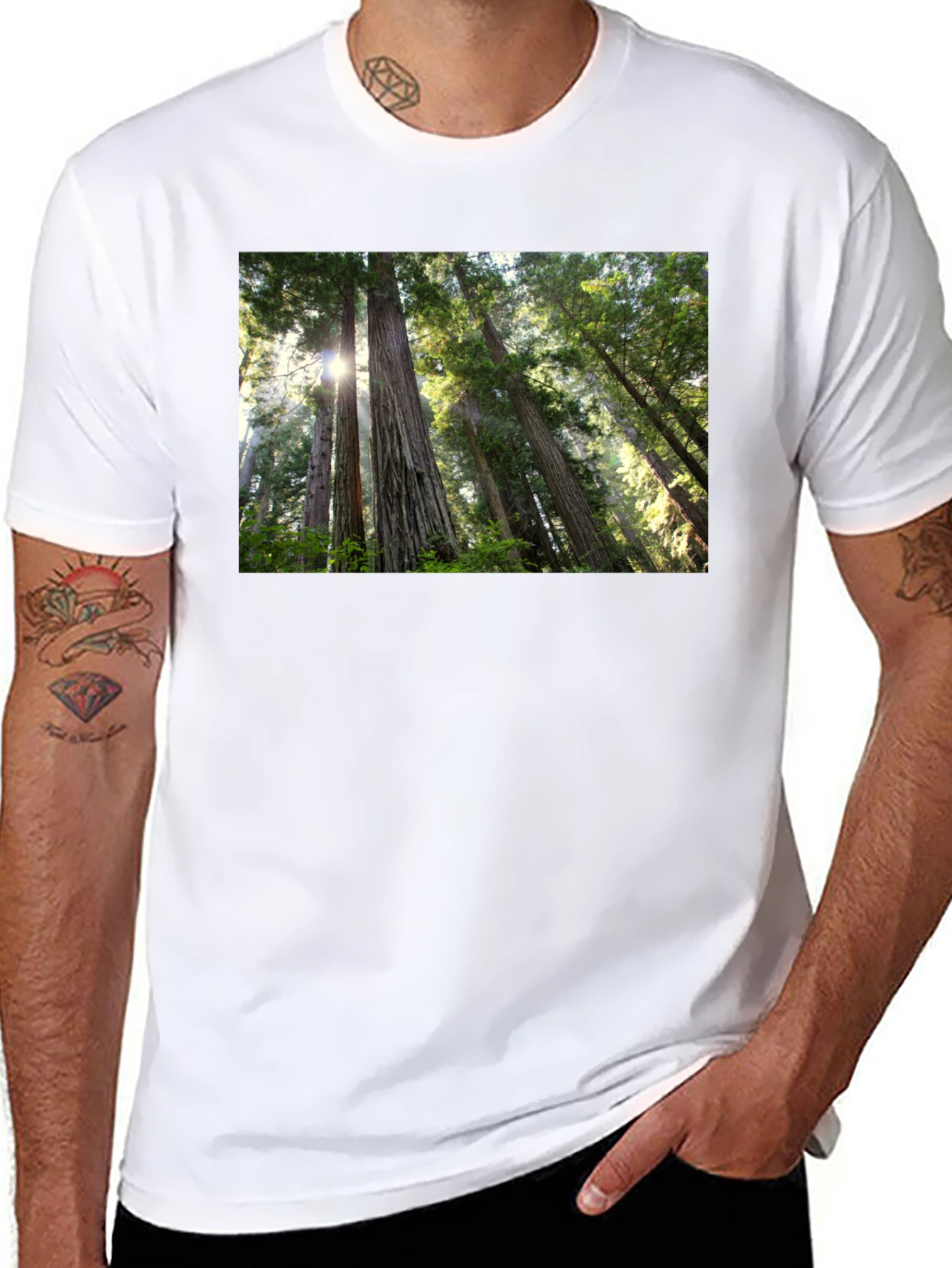 Forest Scene Black T-Shirt