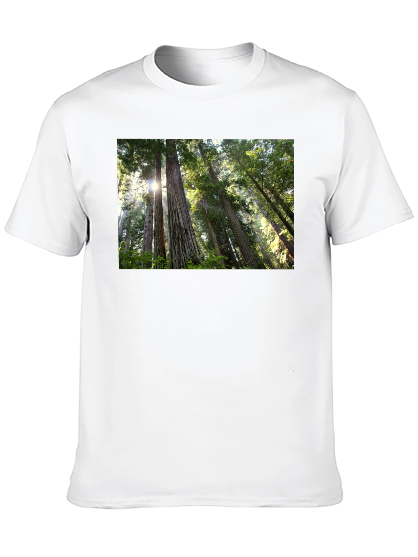 Forest Scene Black T-Shirt