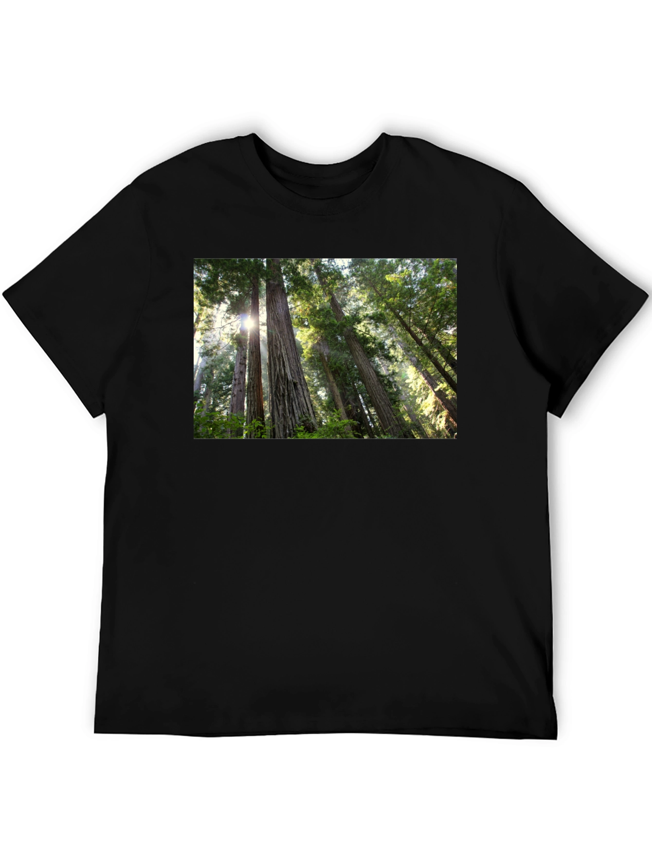 Forest Scene Black T-Shirt