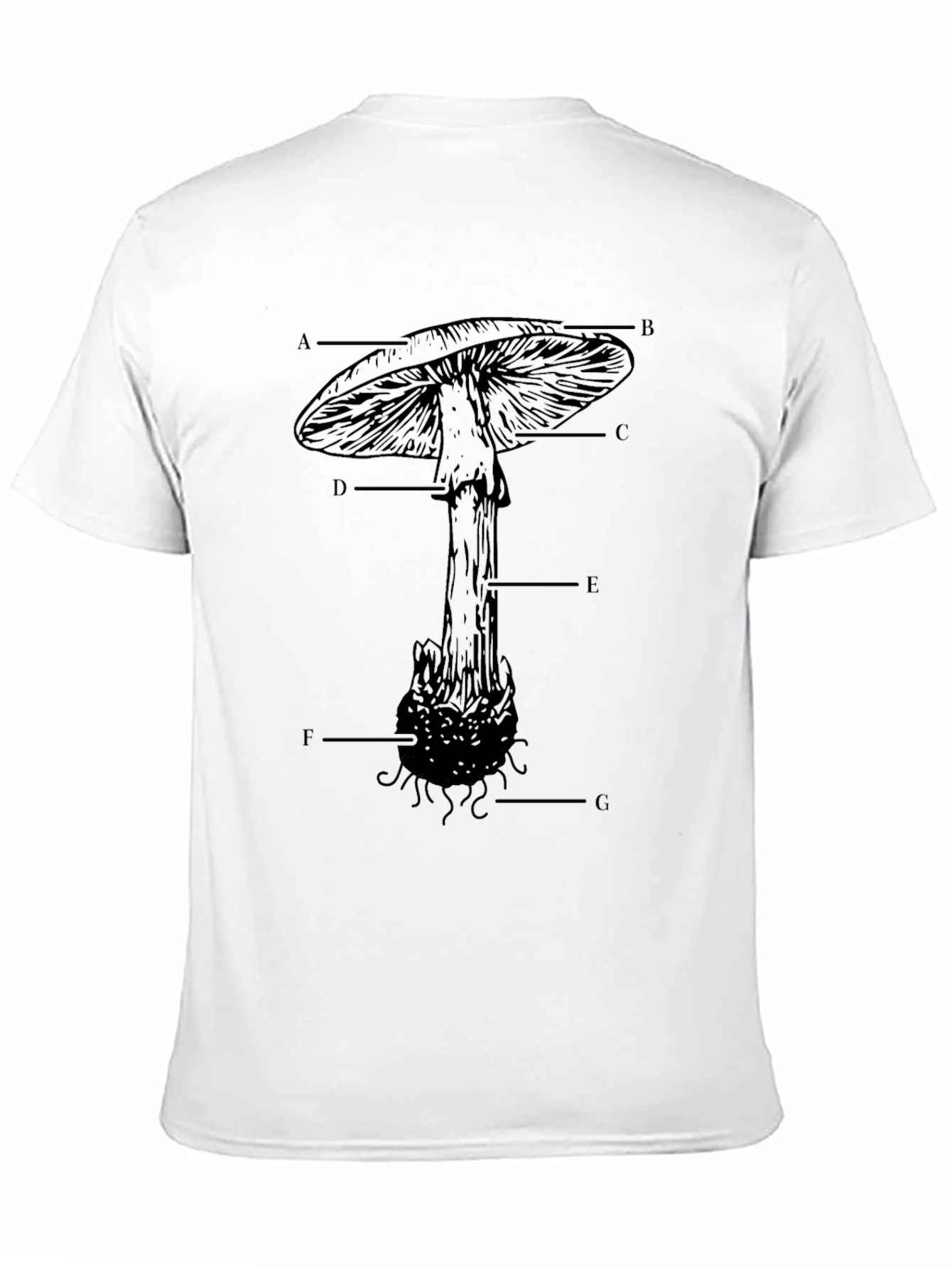 Mushroom Anatomy T-Shirt - Educational Graphic Tee
