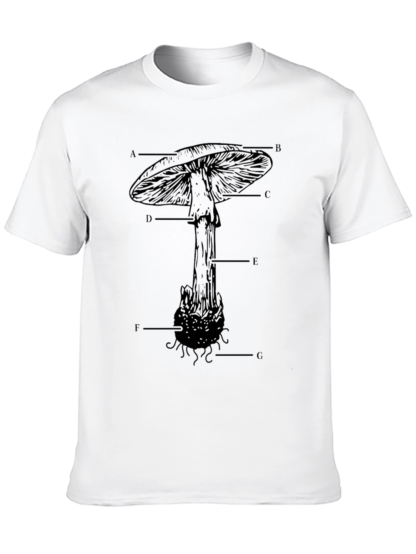 Mushroom Anatomy T-Shirt - Educational Graphic Tee