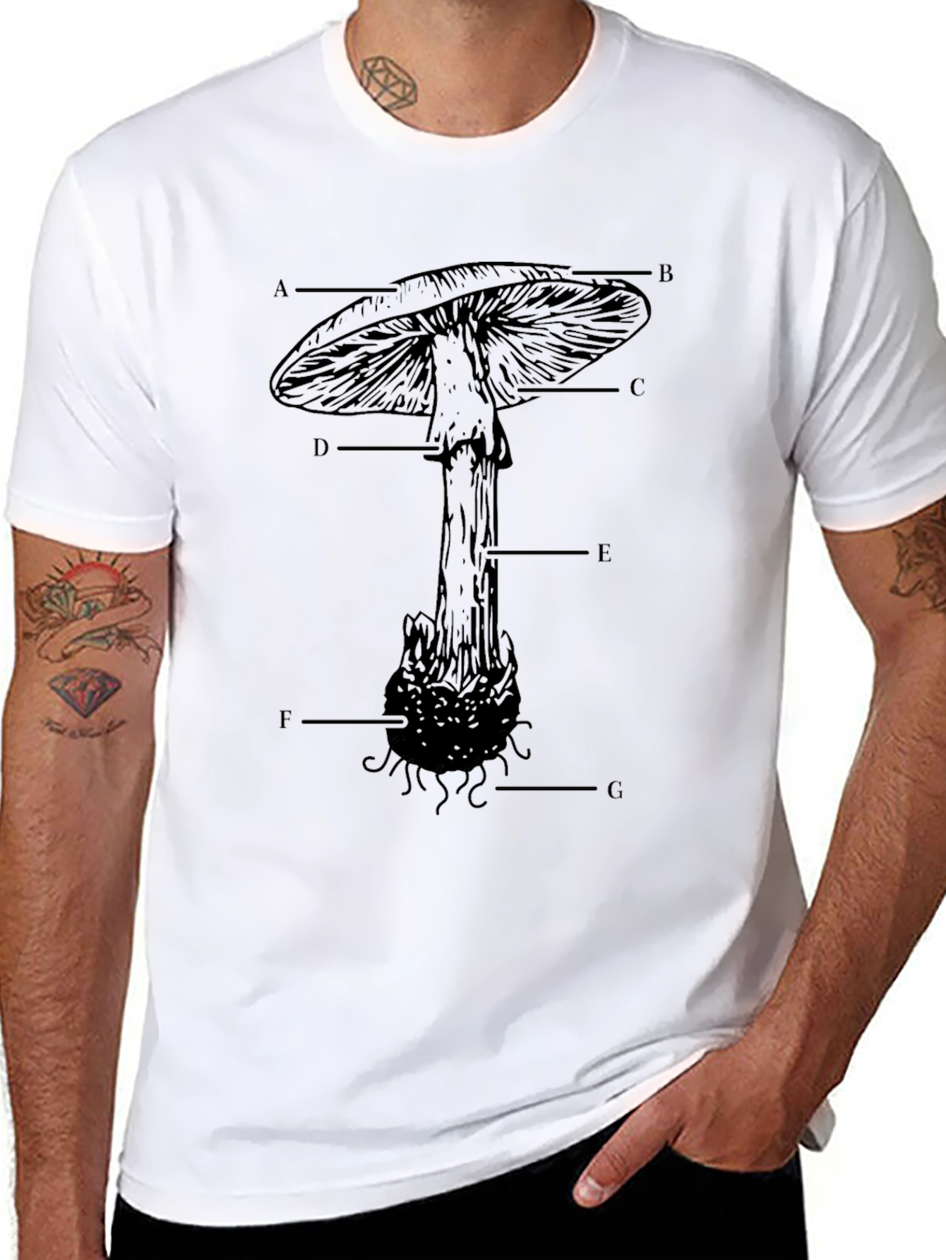 Mushroom Anatomy T-Shirt - Educational Graphic Tee
