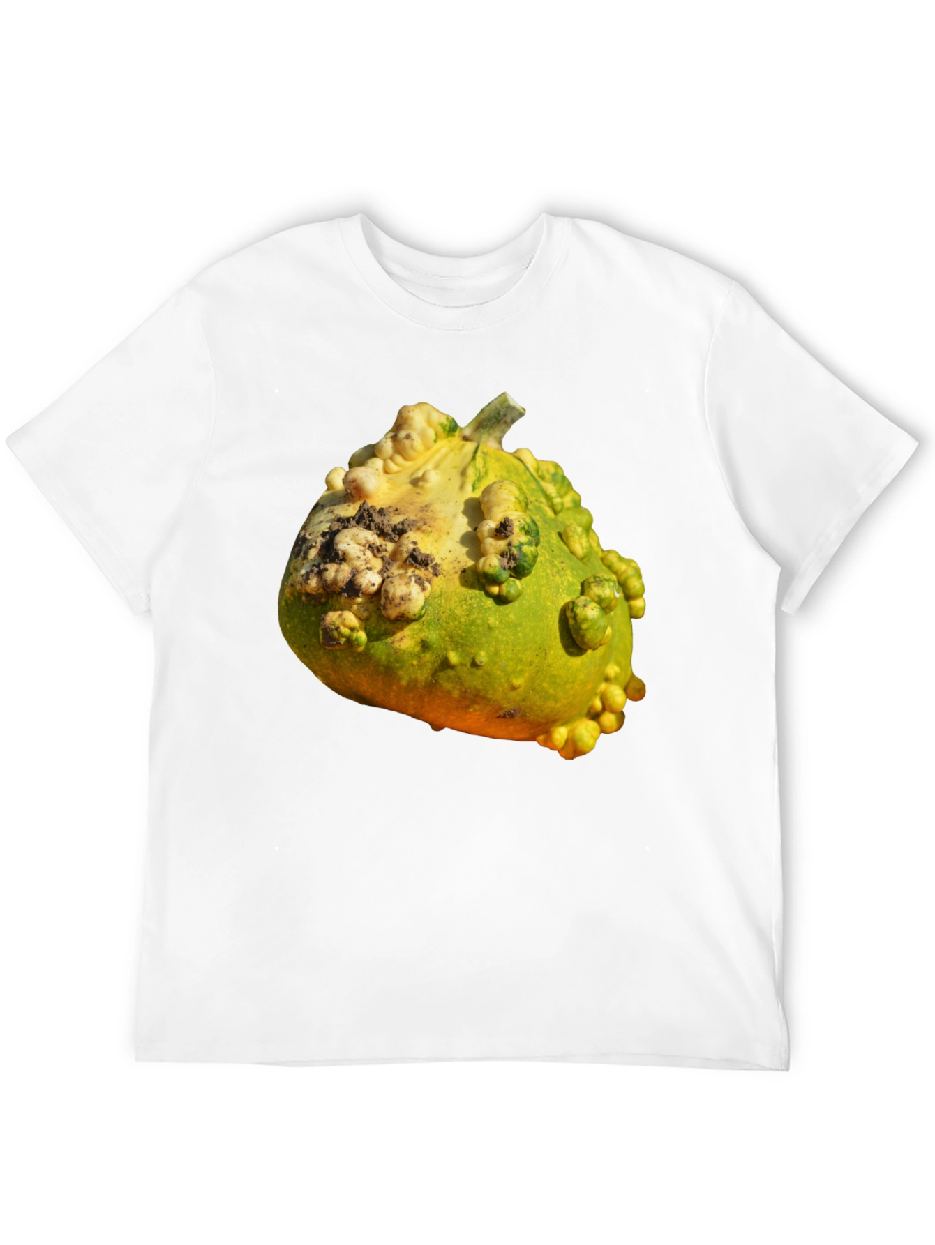 Gourd Graphic T-Shirt Novelty Fruit Tee