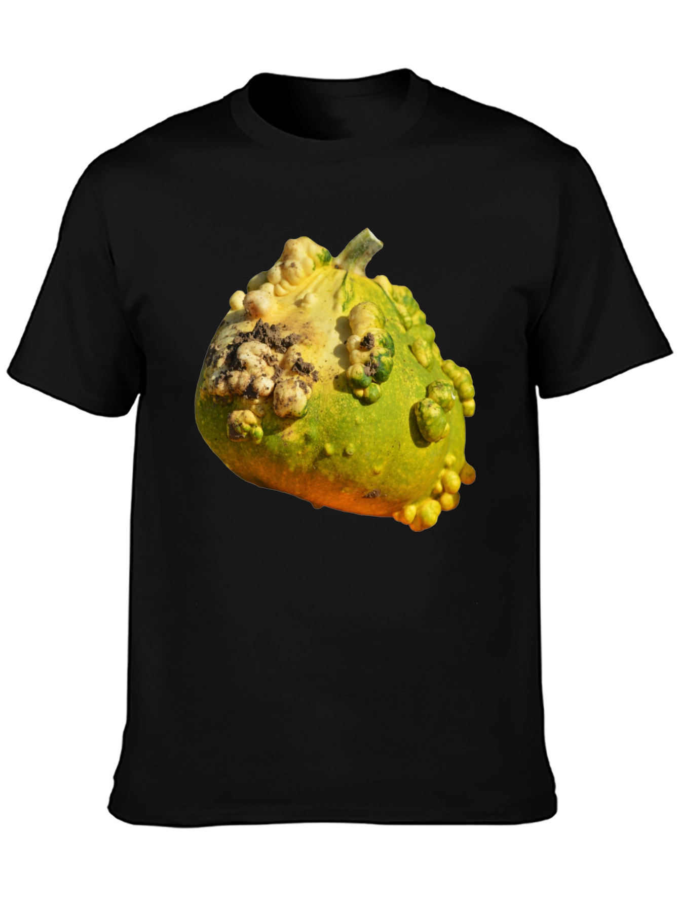 Gourd Graphic T-Shirt Novelty Fruit Tee