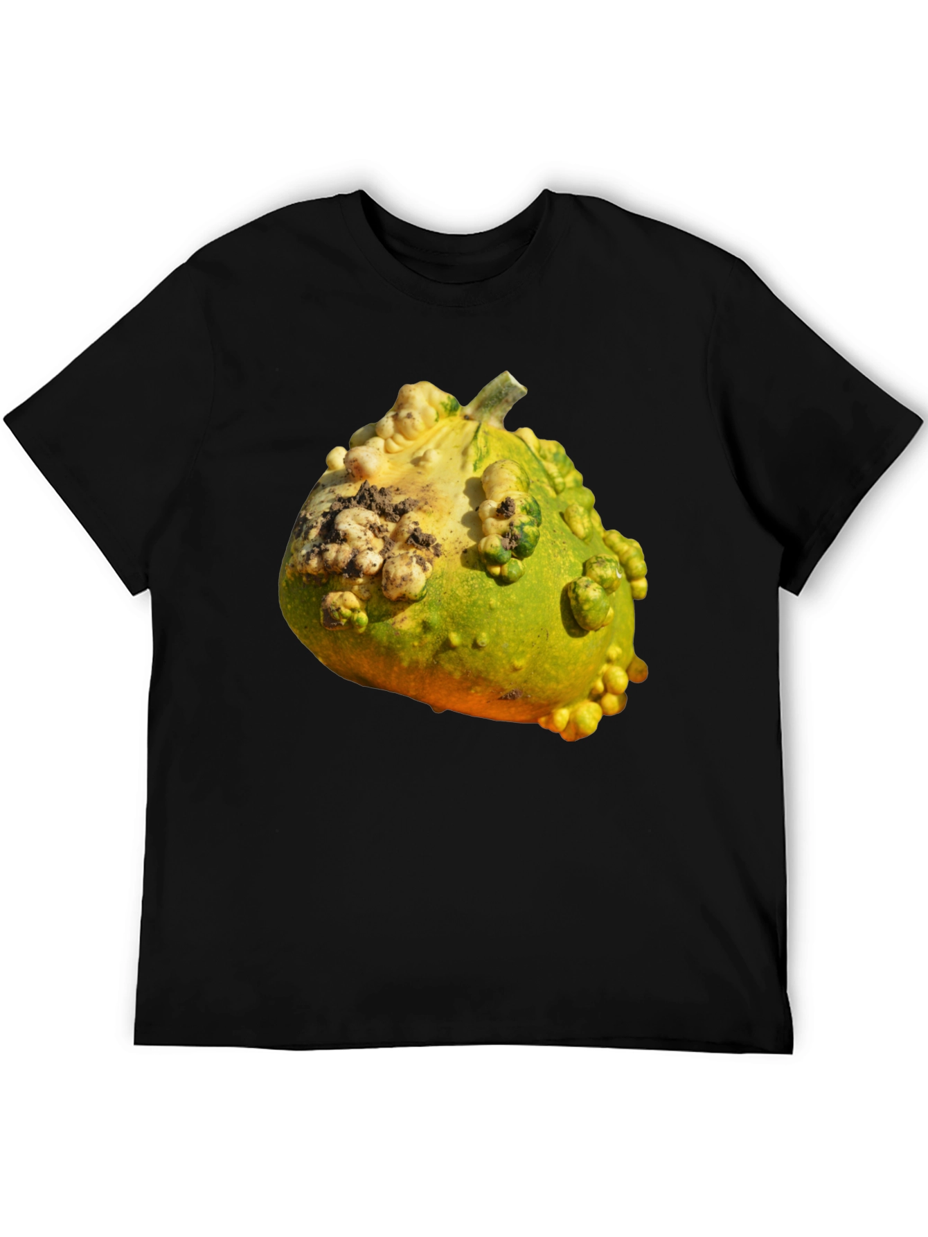 Gourd Graphic T-Shirt Novelty Fruit Tee