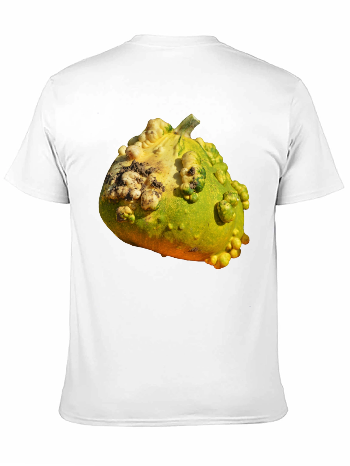 Gourd Graphic T-Shirt Novelty Fruit Tee