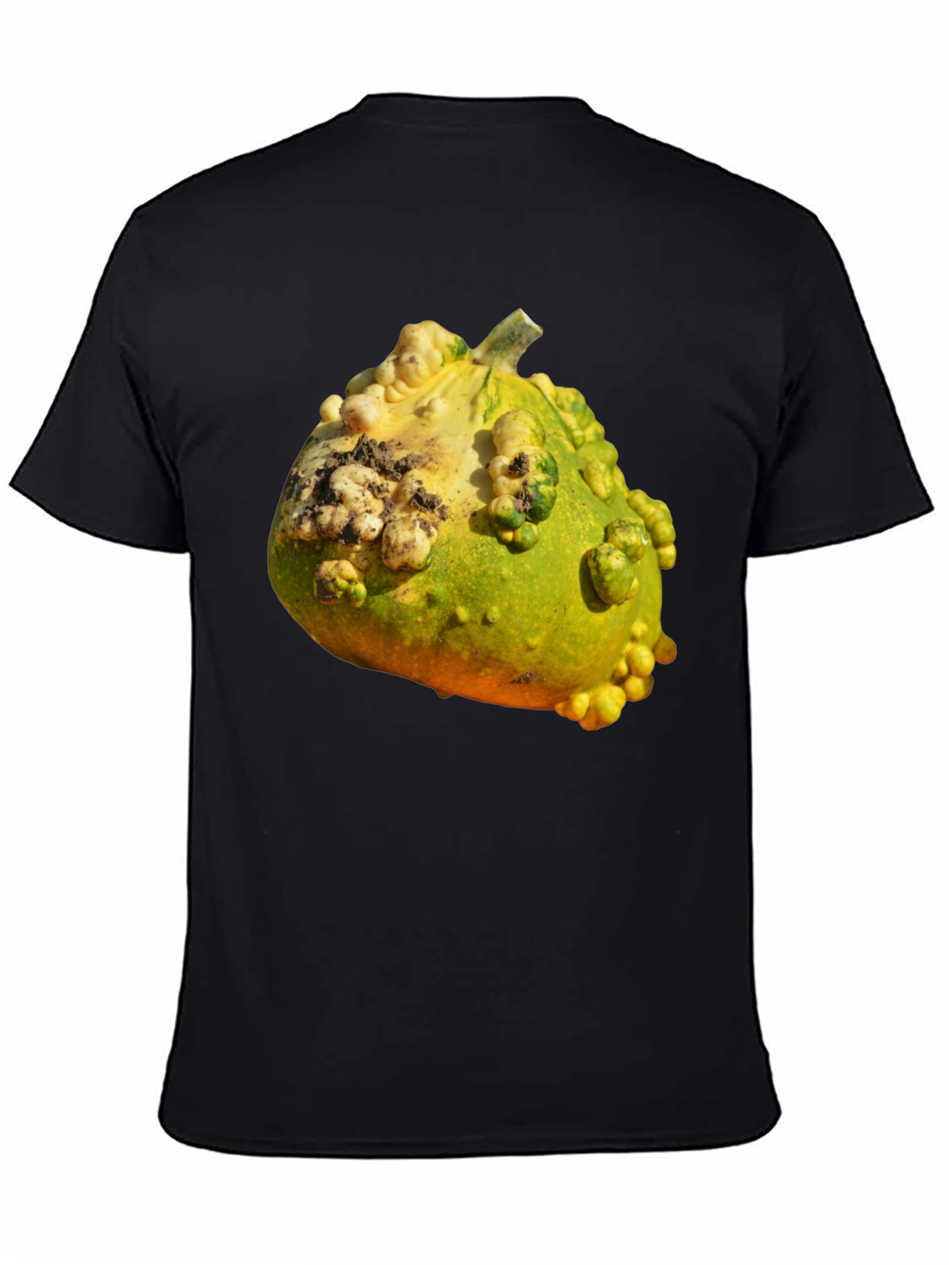 Gourd Graphic T-Shirt Novelty Fruit Tee