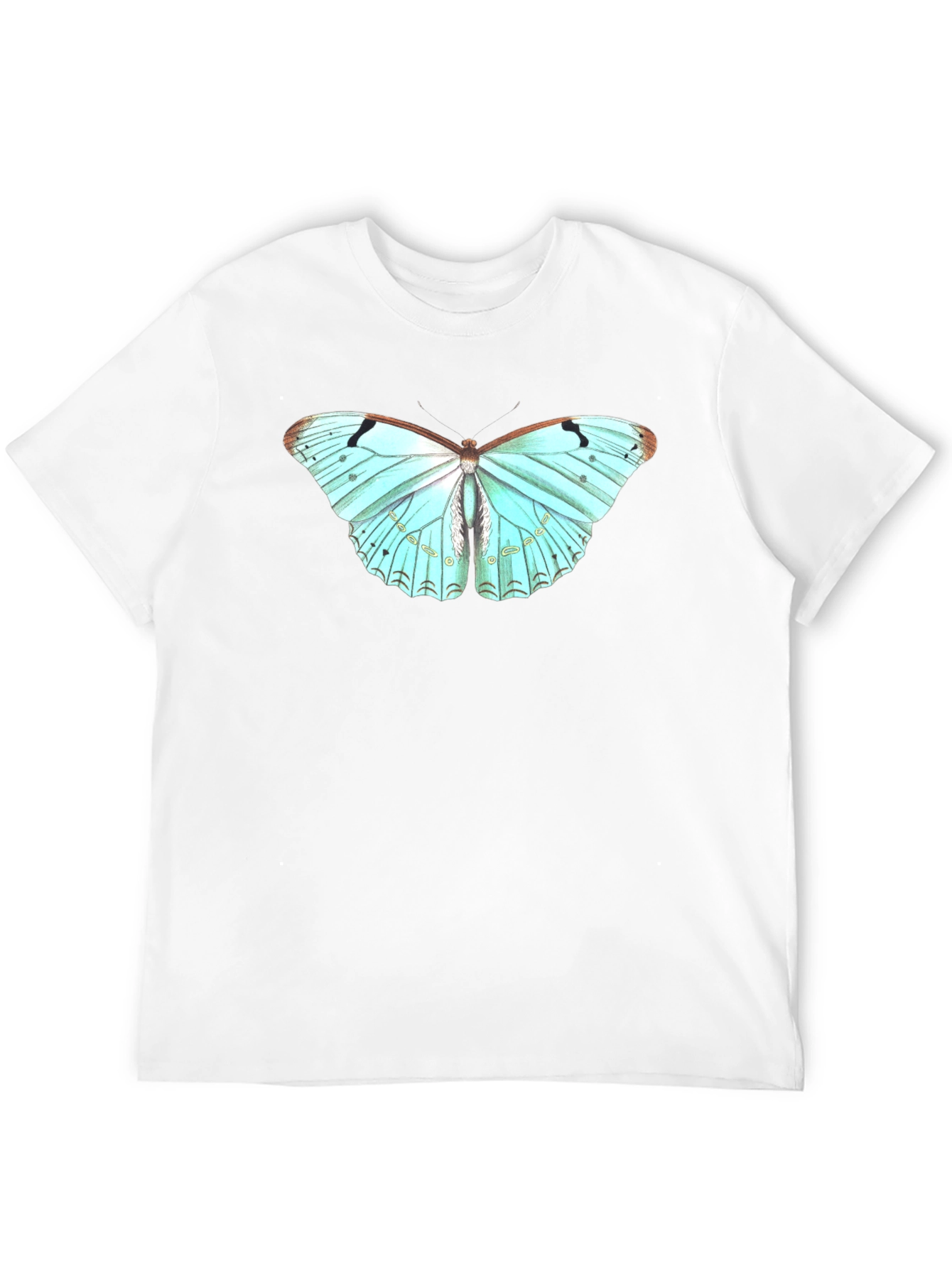 Butterfly Print T-Shirt