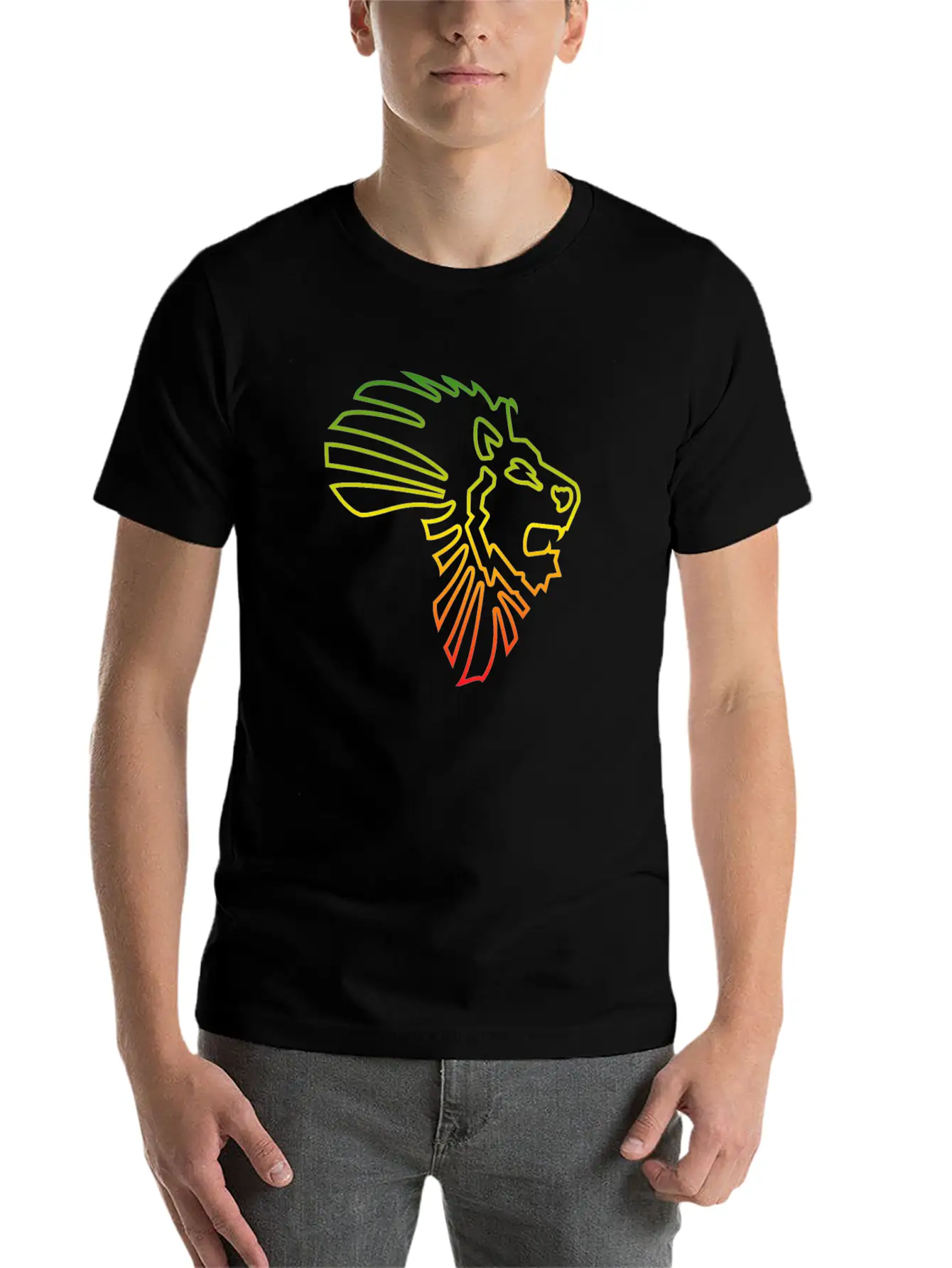 African Map African Lion Red Gold Green Outline Stylish Everyday T-Shirt – Unisex Basic Cotton Tee