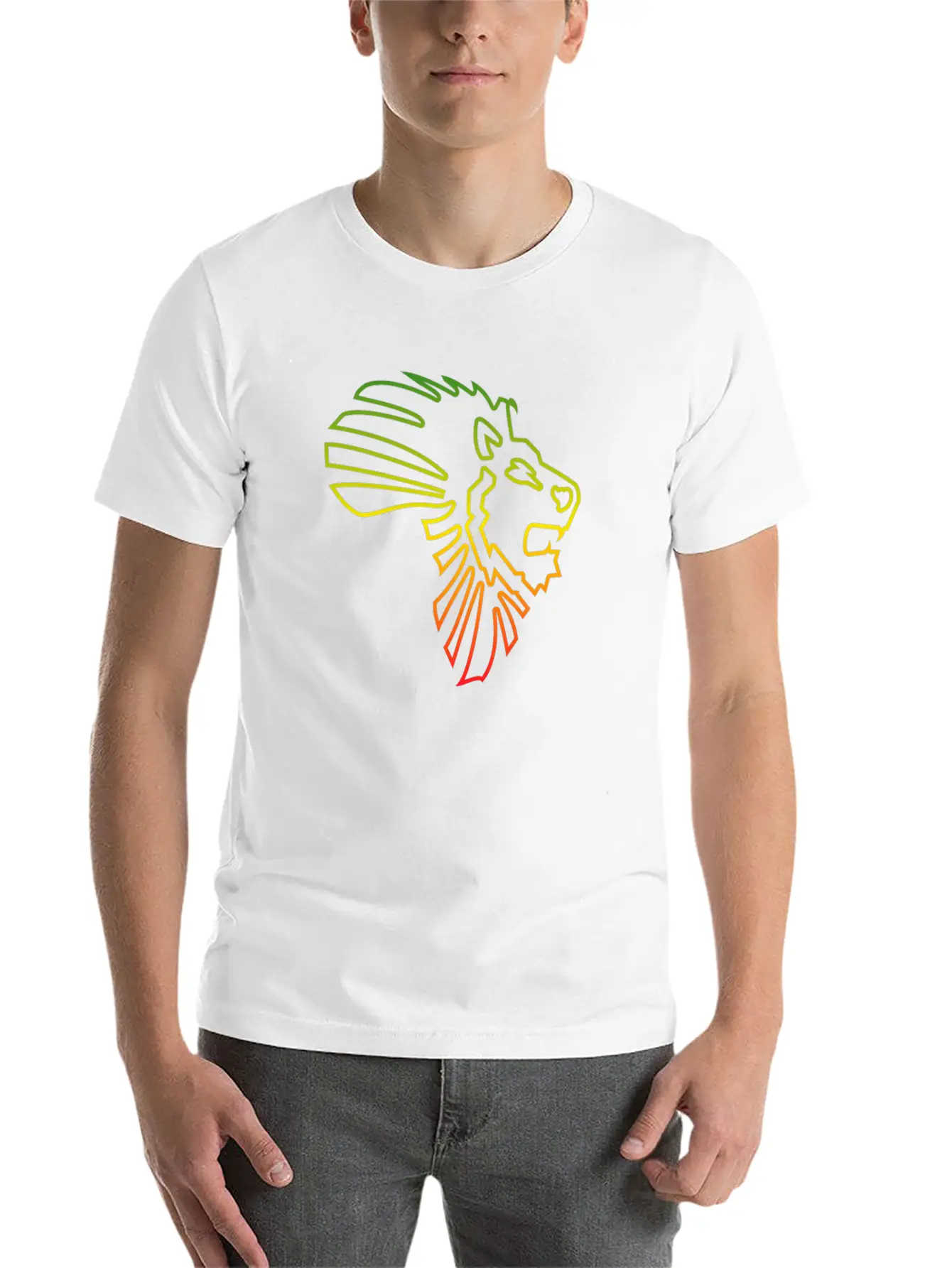 African Map African Lion Red Gold Green Outline Stylish Everyday T-Shirt – Unisex Basic Cotton Tee