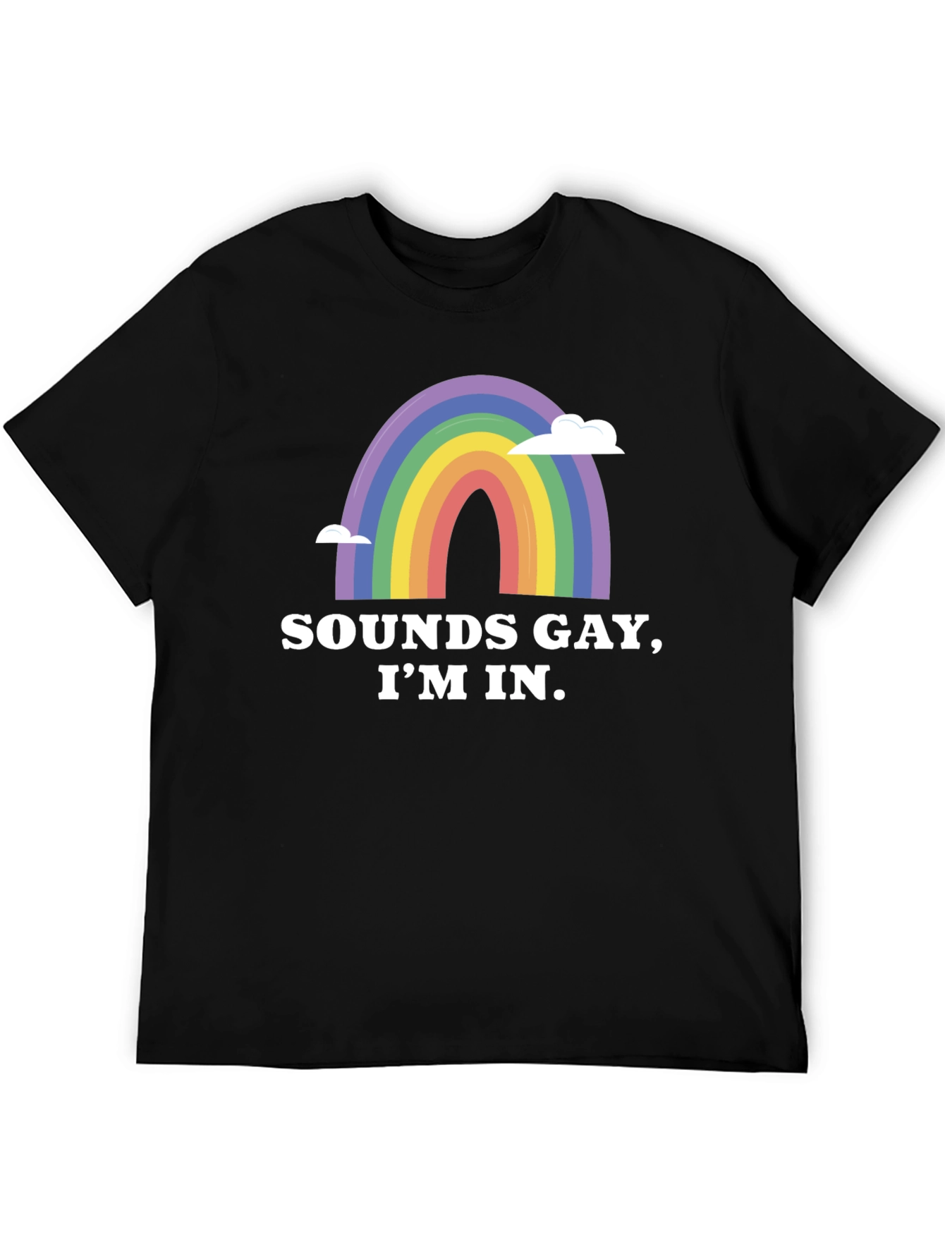 Sounds Gay Im In Rainbow Graphic Tee