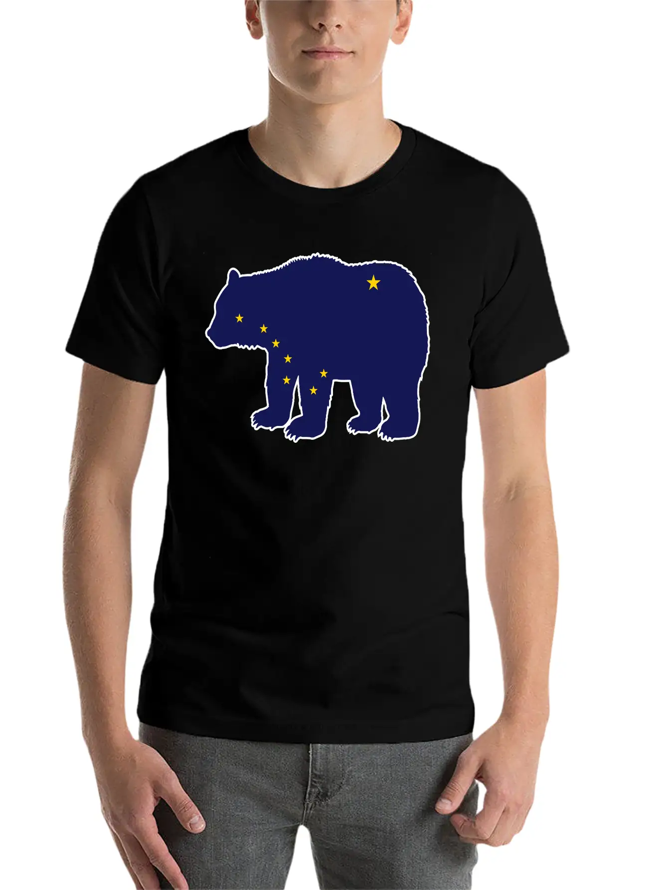 Alaska Flag Bear Basic Graphic T-Shirt – Daily Comfort In Soft Cotton
