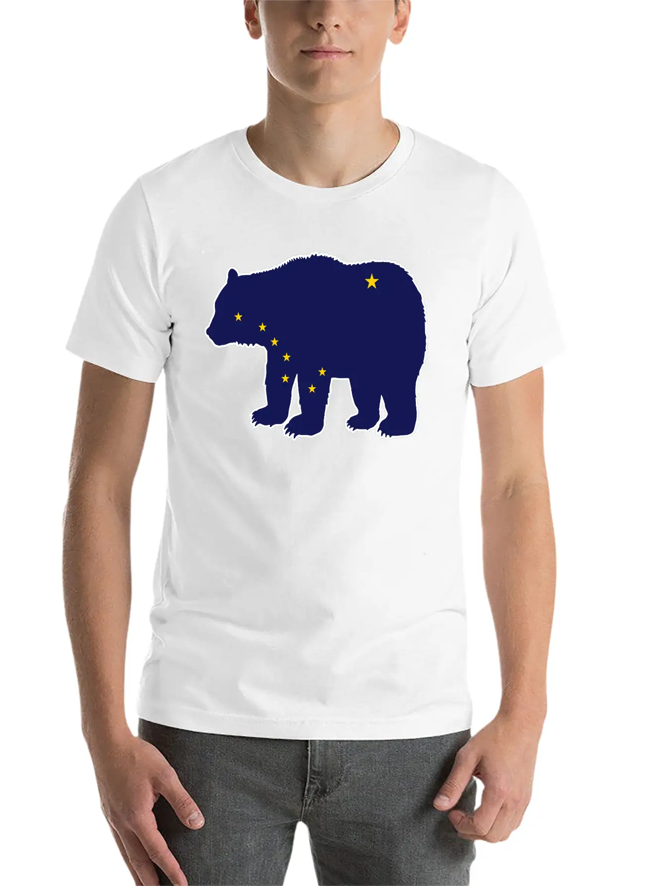 Alaska Flag Bear Basic Graphic T-Shirt – Daily Comfort In Soft Cotton