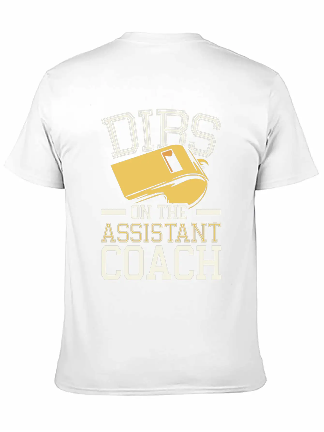 Assistant Coach Sport Trainer Team Coaching Comfortable Minimalist Graphic Tee – Summer Style Essential