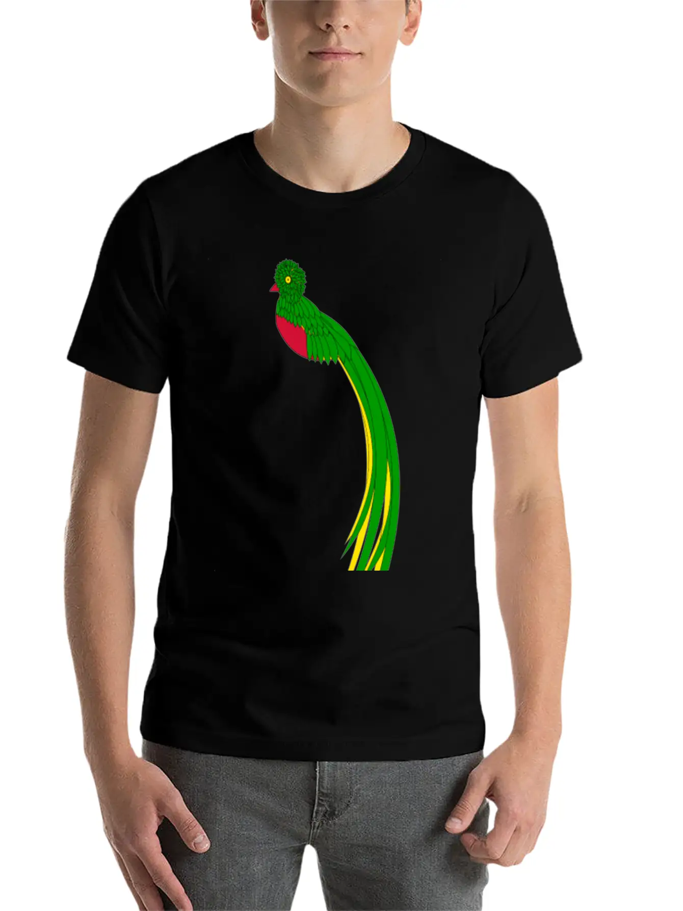 B I R D91 Basic Graphic T-Shirt – Daily Comfort In Soft Cotton