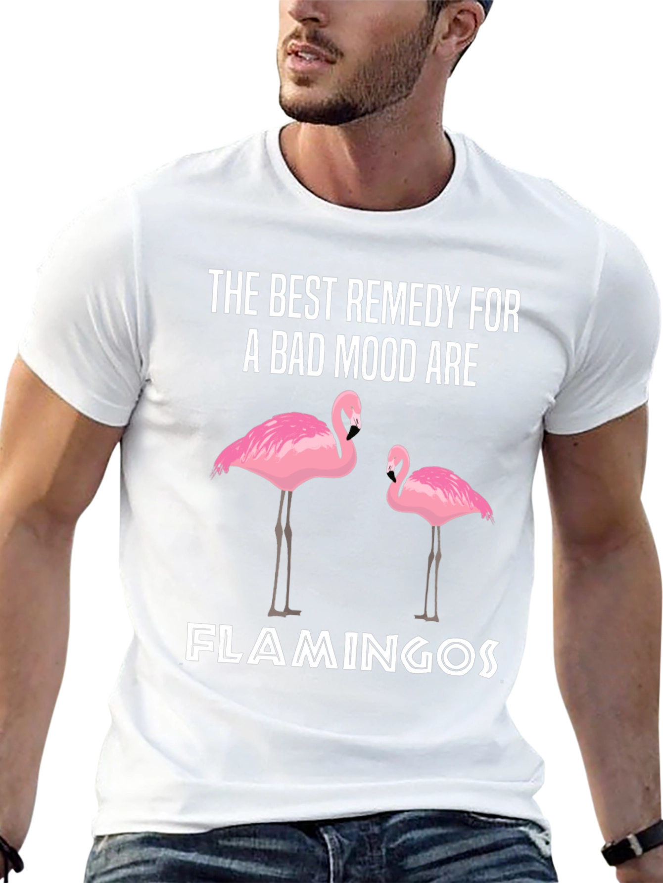 Funny Flamingo Remedy T-Shirt