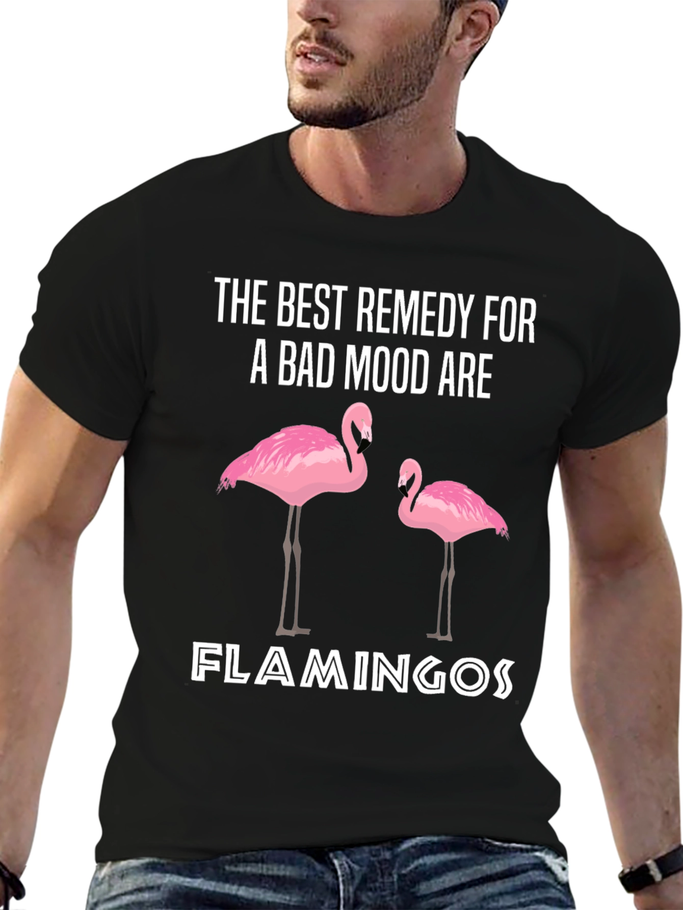 Funny Flamingo Remedy T-Shirt