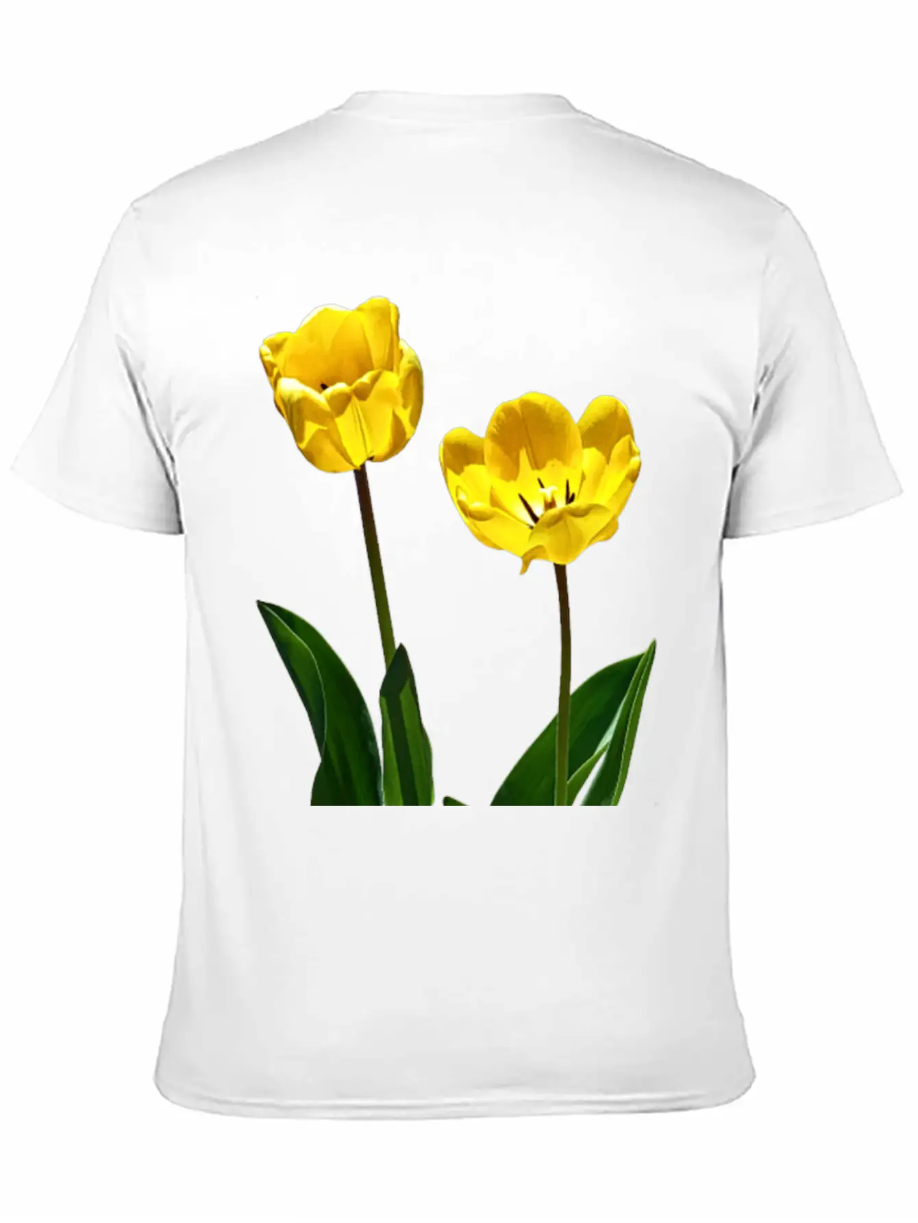 Backlit Yellow Tulips Unisex Short Sleeve Soft Cotton T-Shirt – Casual Everyday Wear
