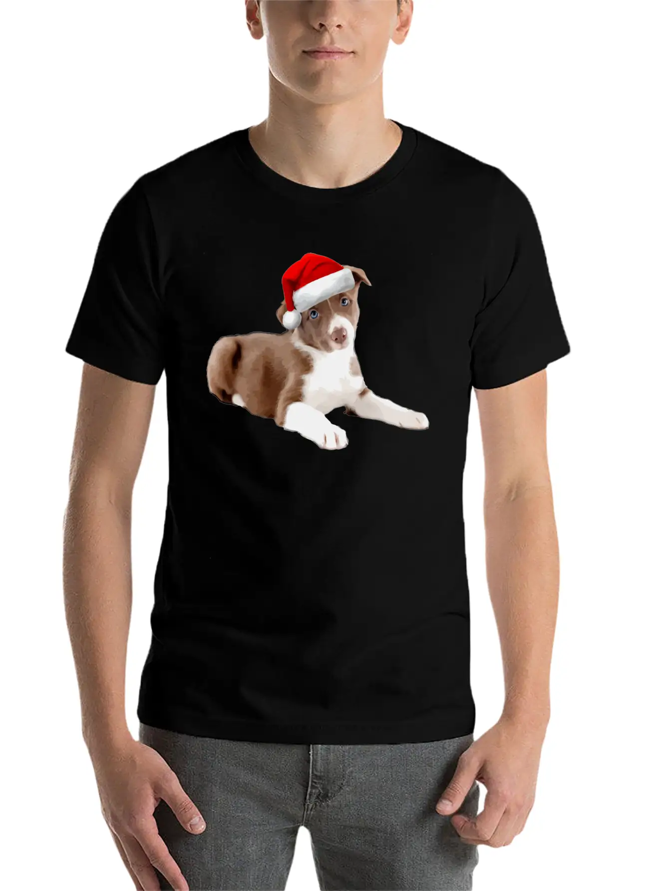 Border Collie Puppy Dog Santa Hat Image Funny Chri Basic Graphic T-Shirt – Daily Comfort In Soft Cotton