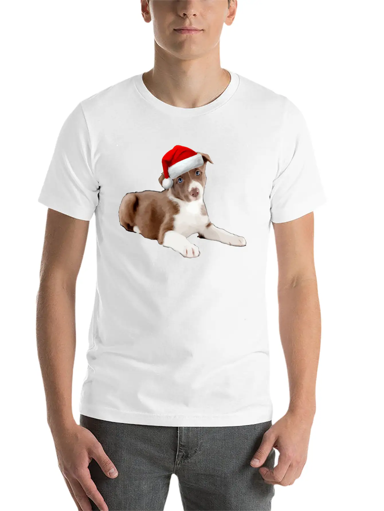 Border Collie Puppy Dog Santa Hat Image Funny Chri Basic Graphic T-Shirt – Daily Comfort In Soft Cotton