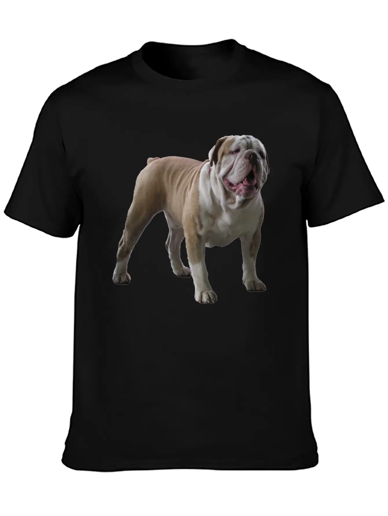 Bull Dog Stylish Everyday T-Shirt – Unisex Basic Cotton Tee