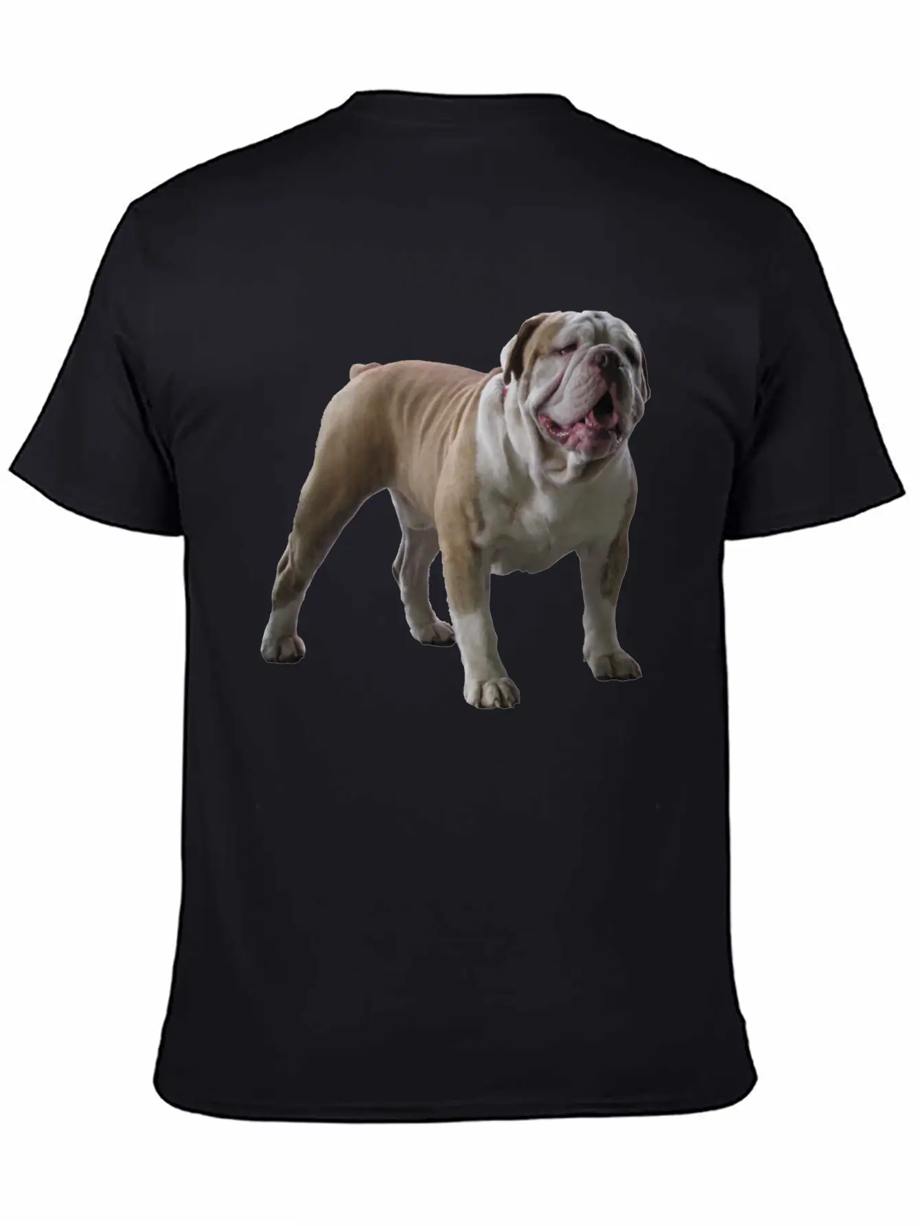 Bull Dog Stylish Everyday T-Shirt – Unisex Basic Cotton Tee
