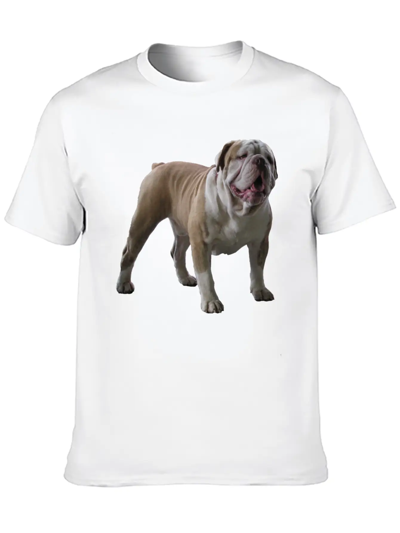 Bull Dog Stylish Everyday T-Shirt – Unisex Basic Cotton Tee