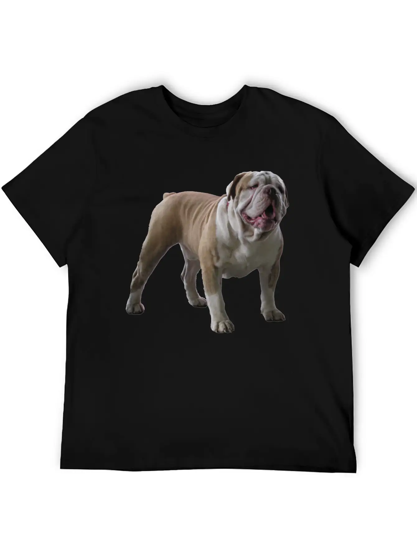 Bull Dog Stylish Everyday T-Shirt – Unisex Basic Cotton Tee