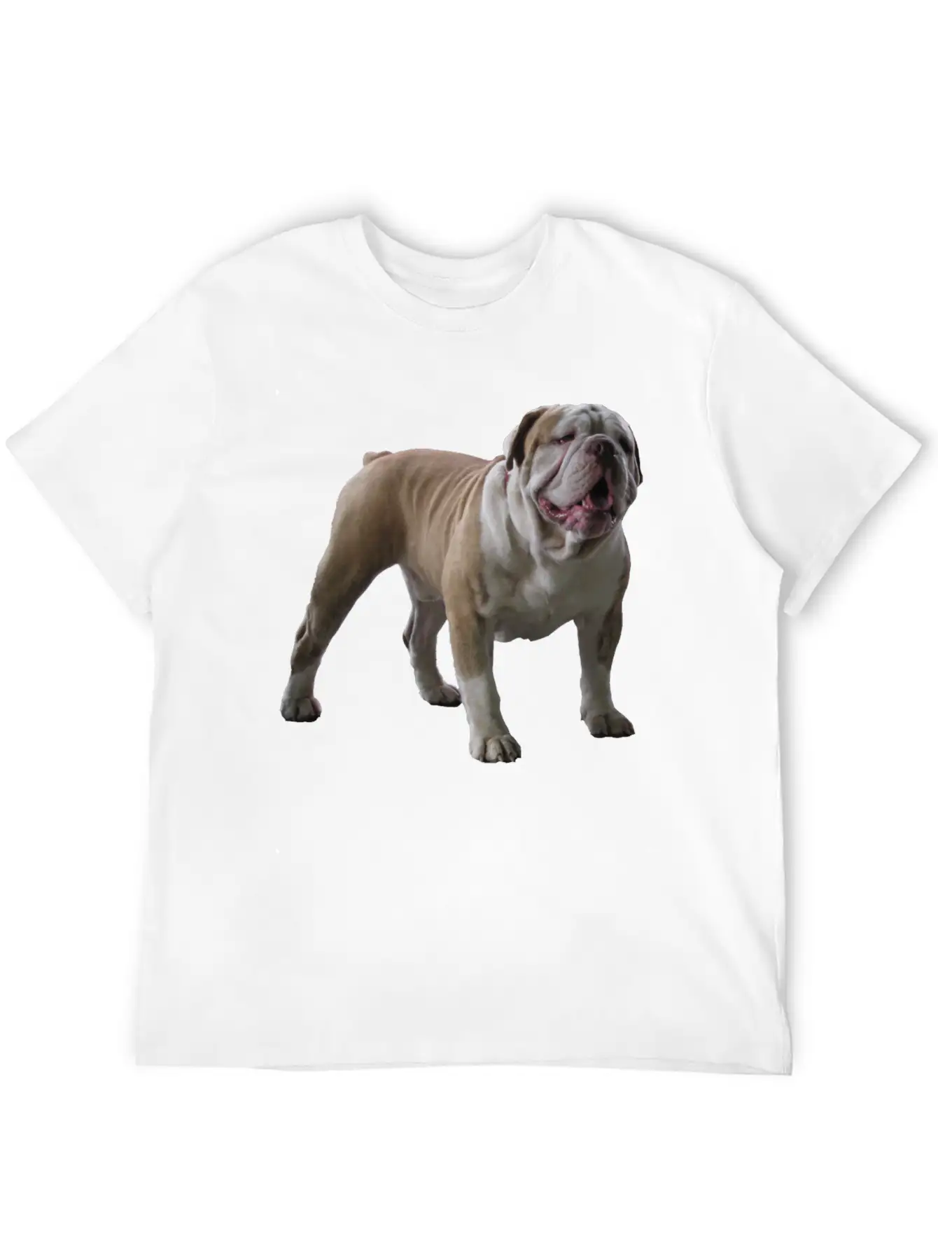 Bull Dog Stylish Everyday T-Shirt – Unisex Basic Cotton Tee
