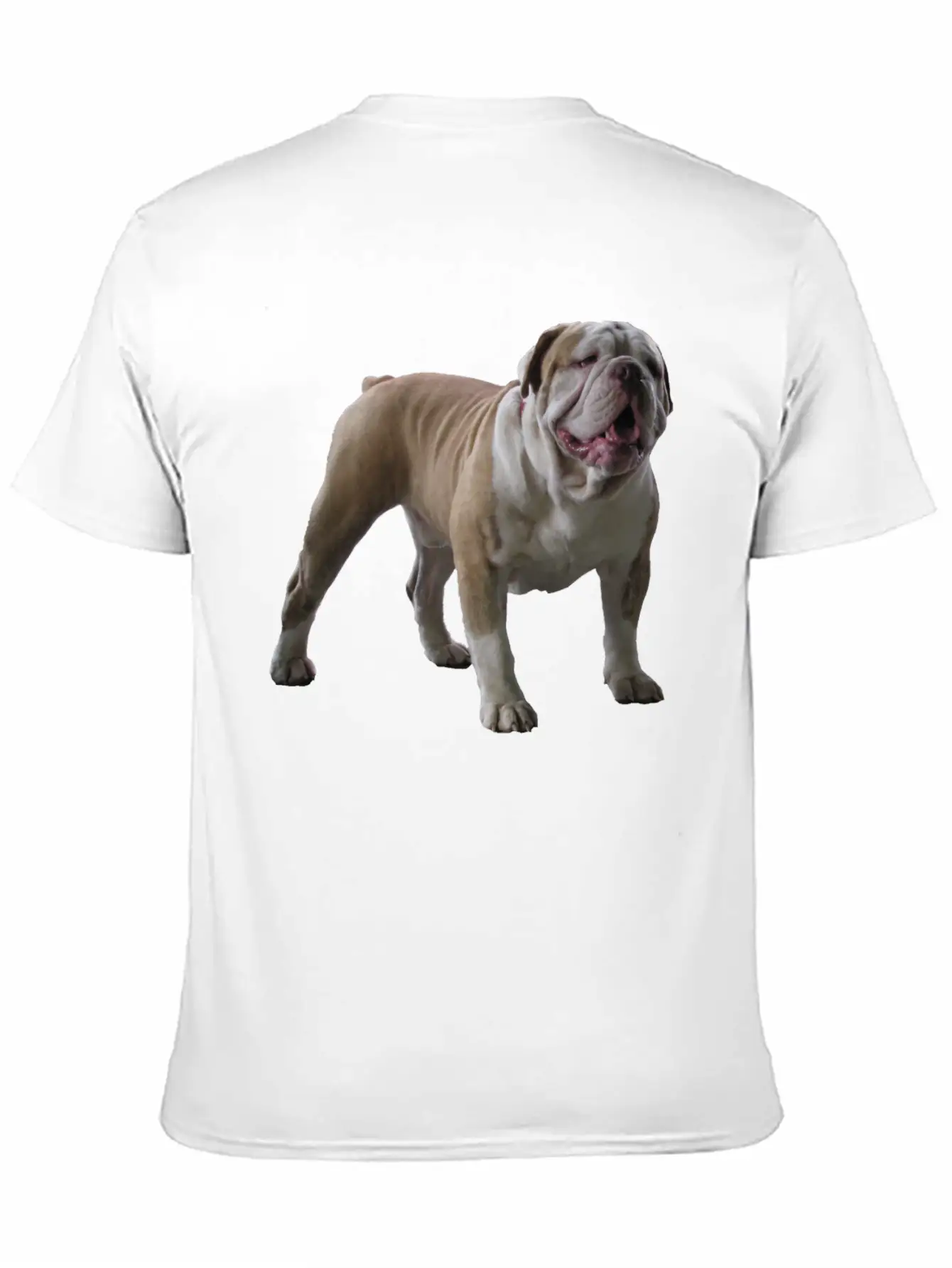 Bull Dog Stylish Everyday T-Shirt – Unisex Basic Cotton Tee